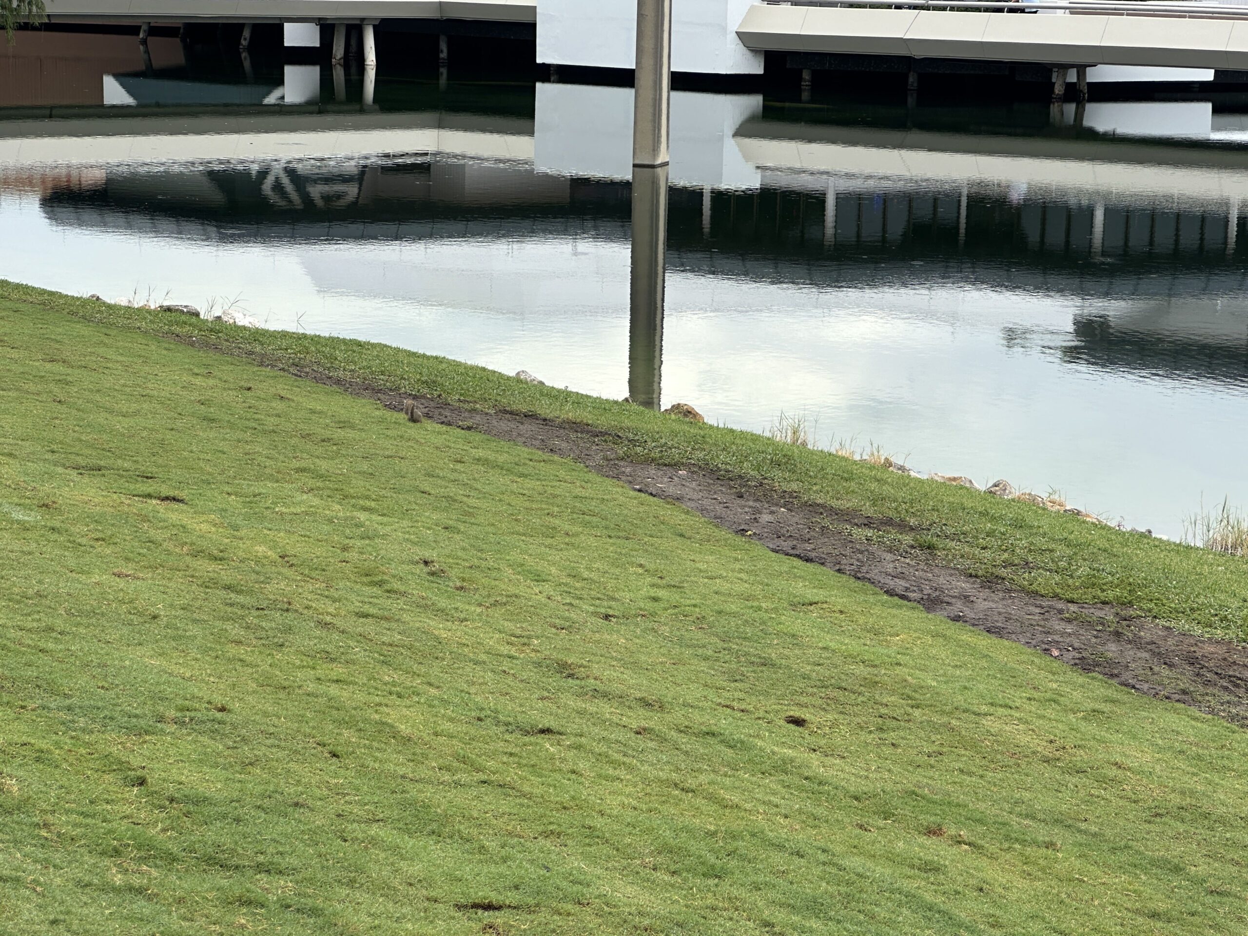 EPCOT Flower & Garden Festival 2026 Flowerbeds Removed