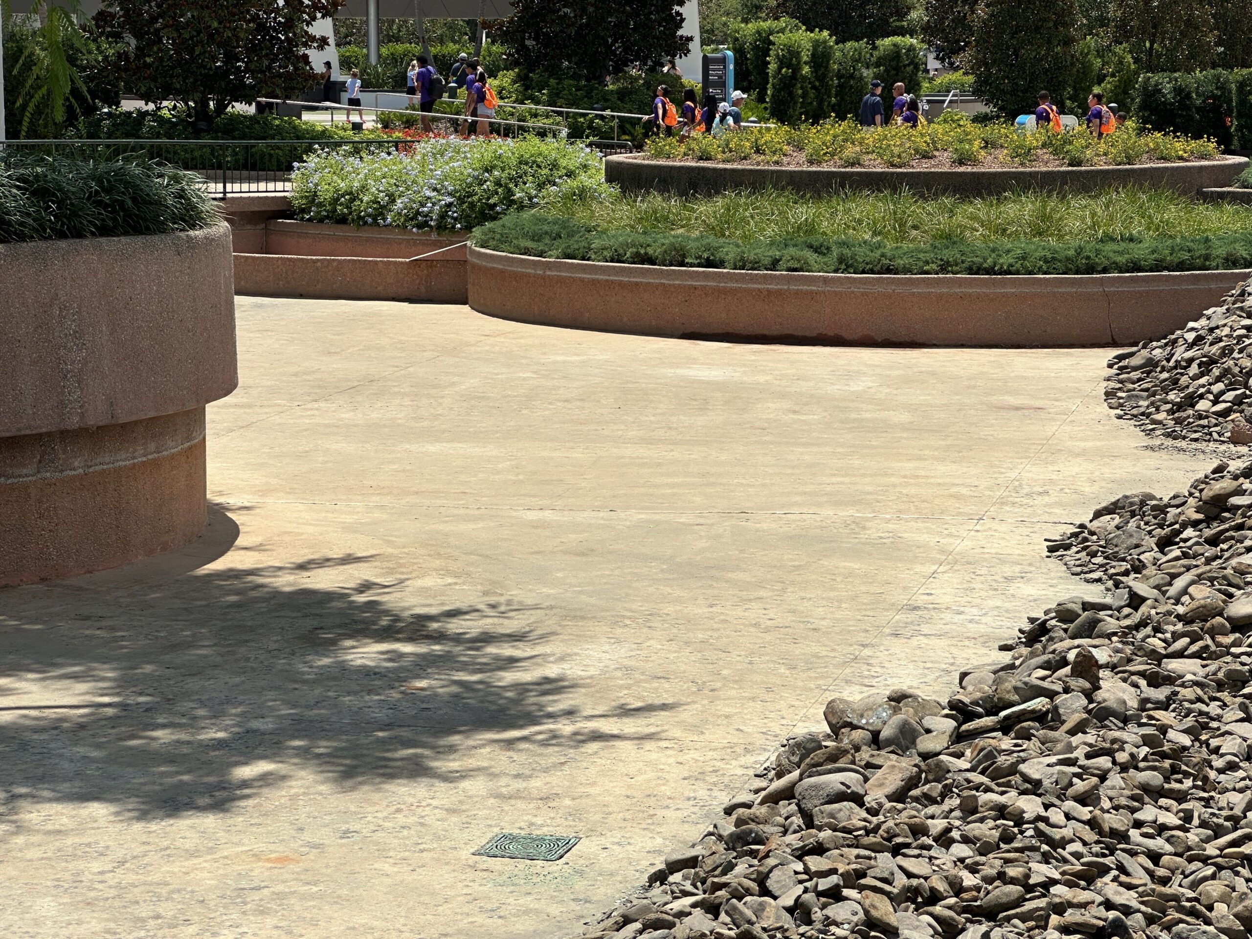 Disney has removed the coins from a World Celebration reflecting pool that was recently drained.