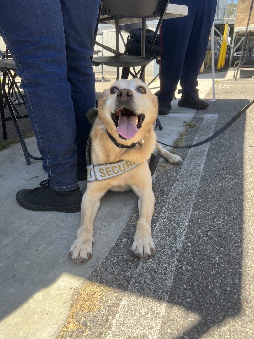For the last six years, Benny’s been working as a security cast member, keeping Disneyland safe for guests and visitors. But now, as he creeps into his older years, it’s time to hang up his harness and enjoy life after work.