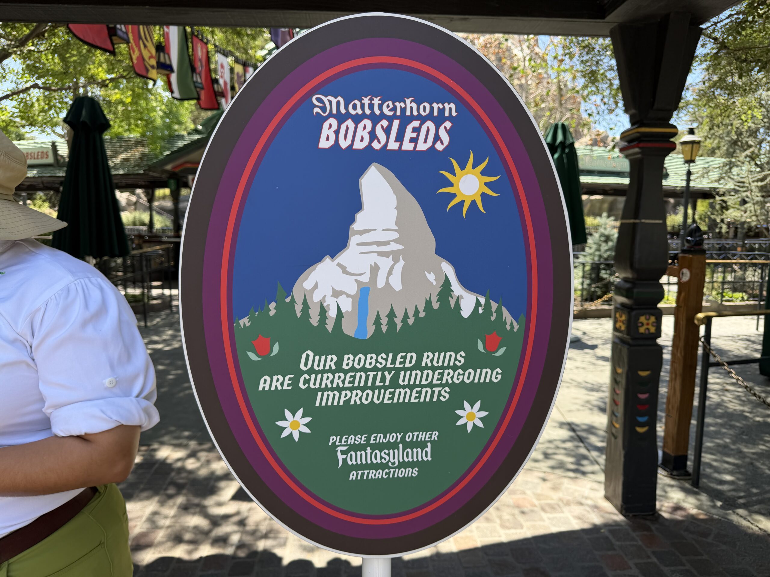 Matterhorn temporarily closed at Disneyland.