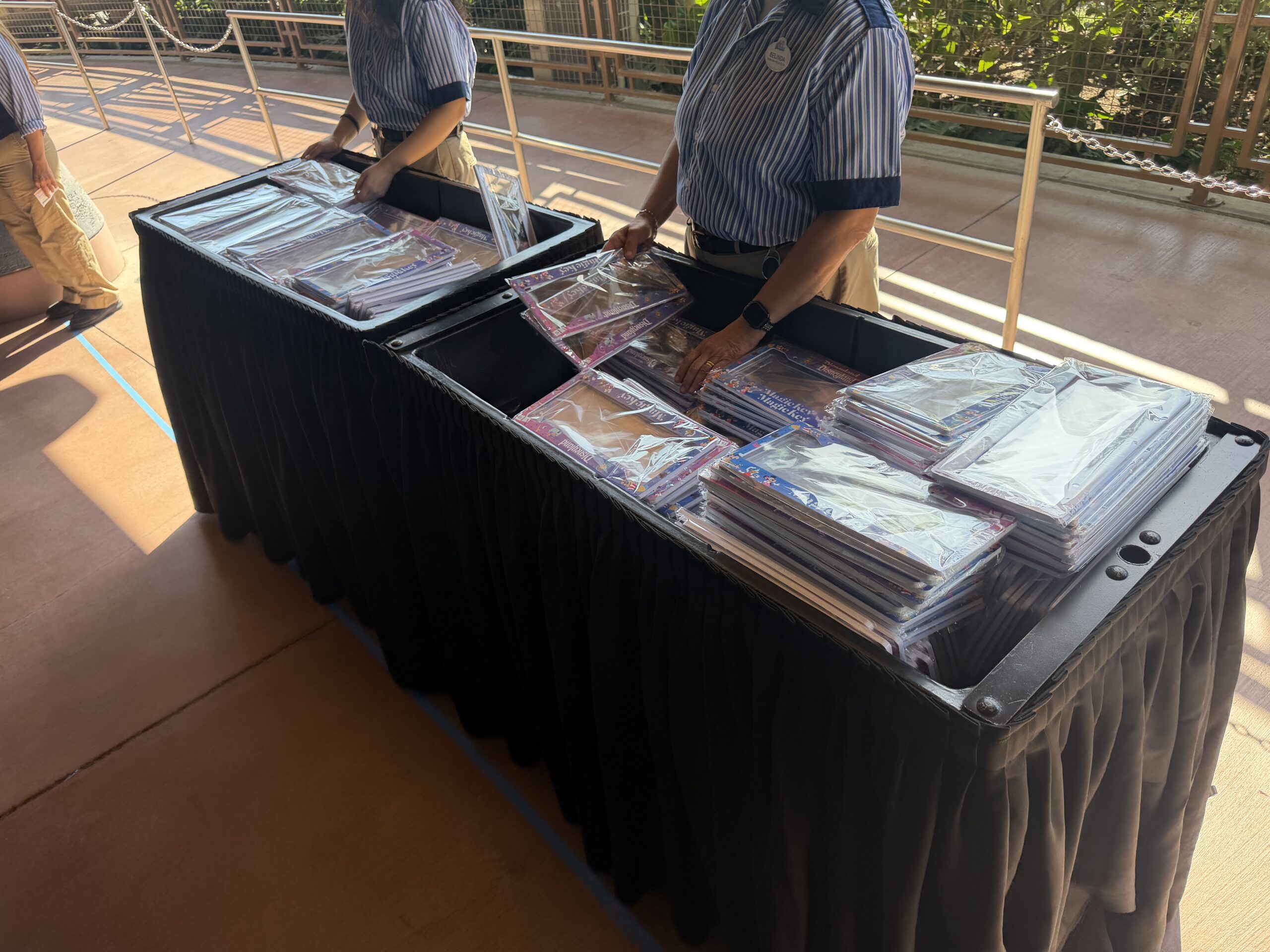 In addition to the license plate, during our visit yesterday, July 17, we were also given a choice between a free Outshine fruit bar or a Mickey ice cream bar on our way out of the line.