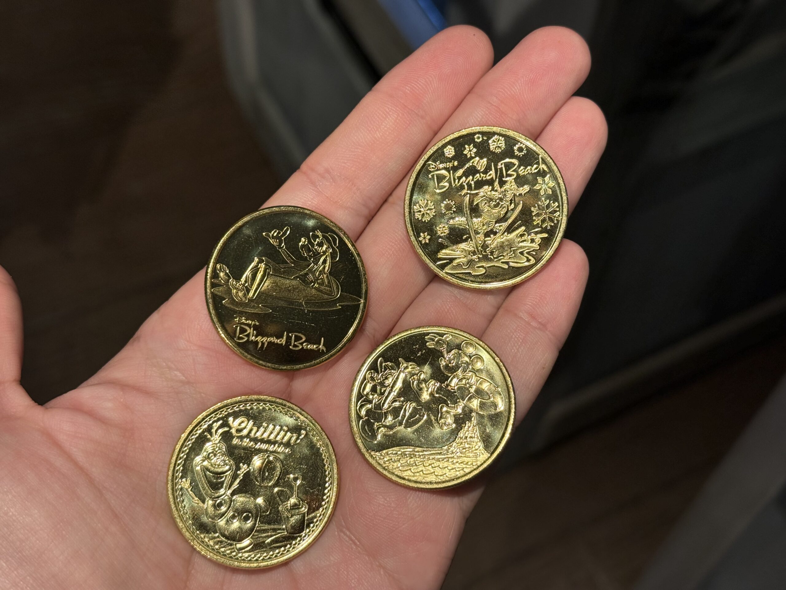 Blizzard Beach Collectible Medallions