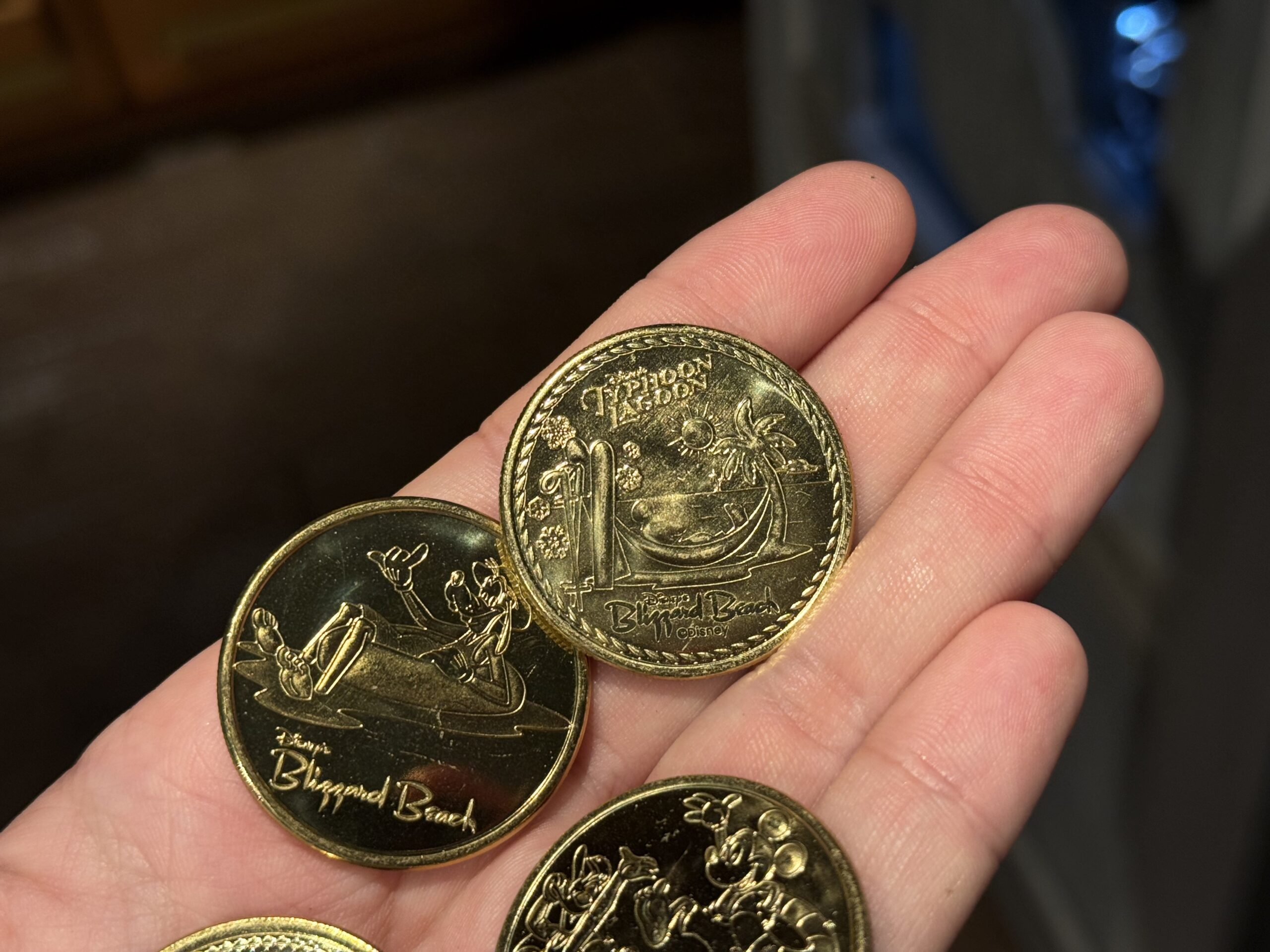 Blizzard Beach Collectible Medallions