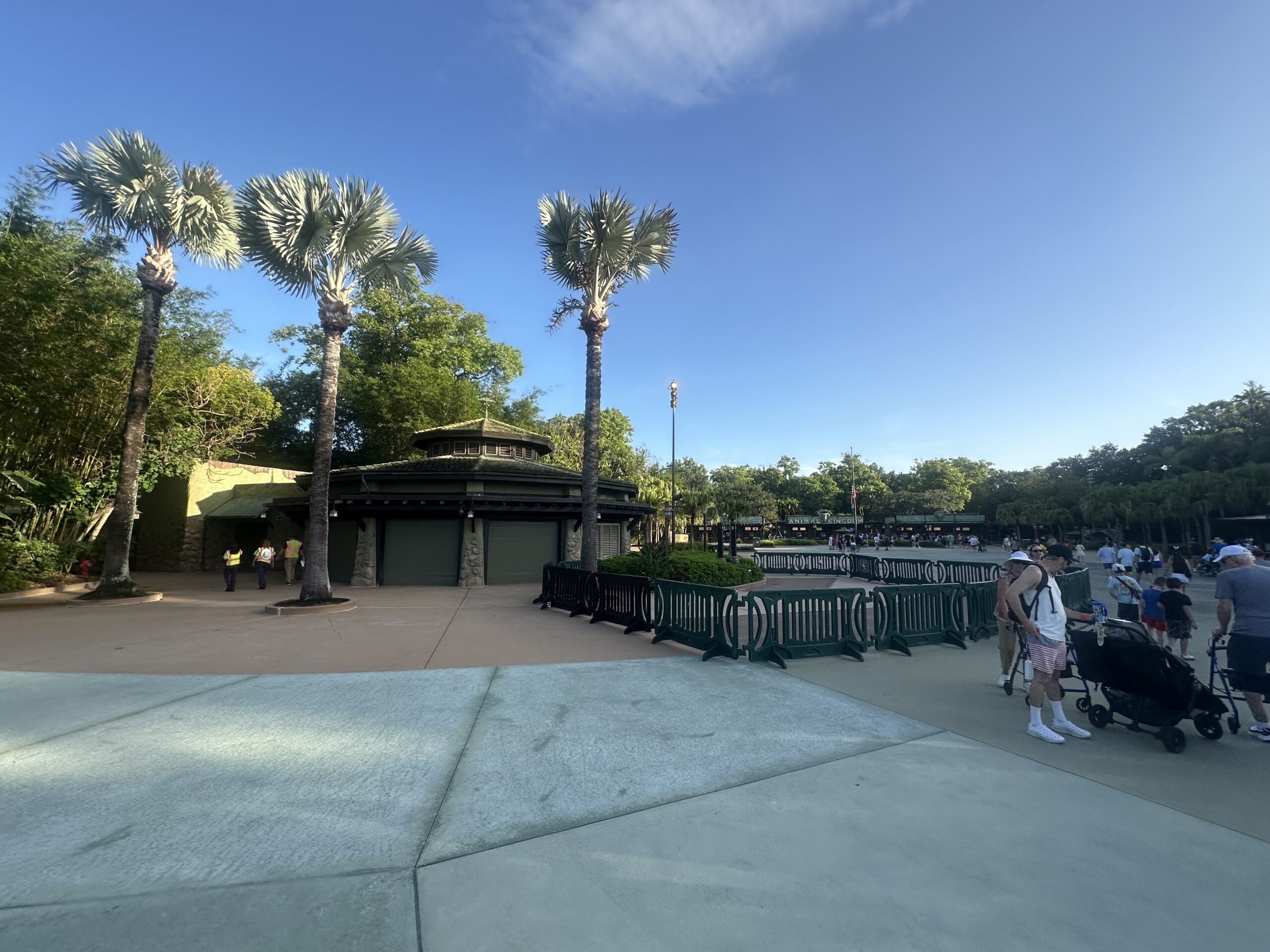 Pavement Replacement Begins at Disney's Animal Kingdom Entrance