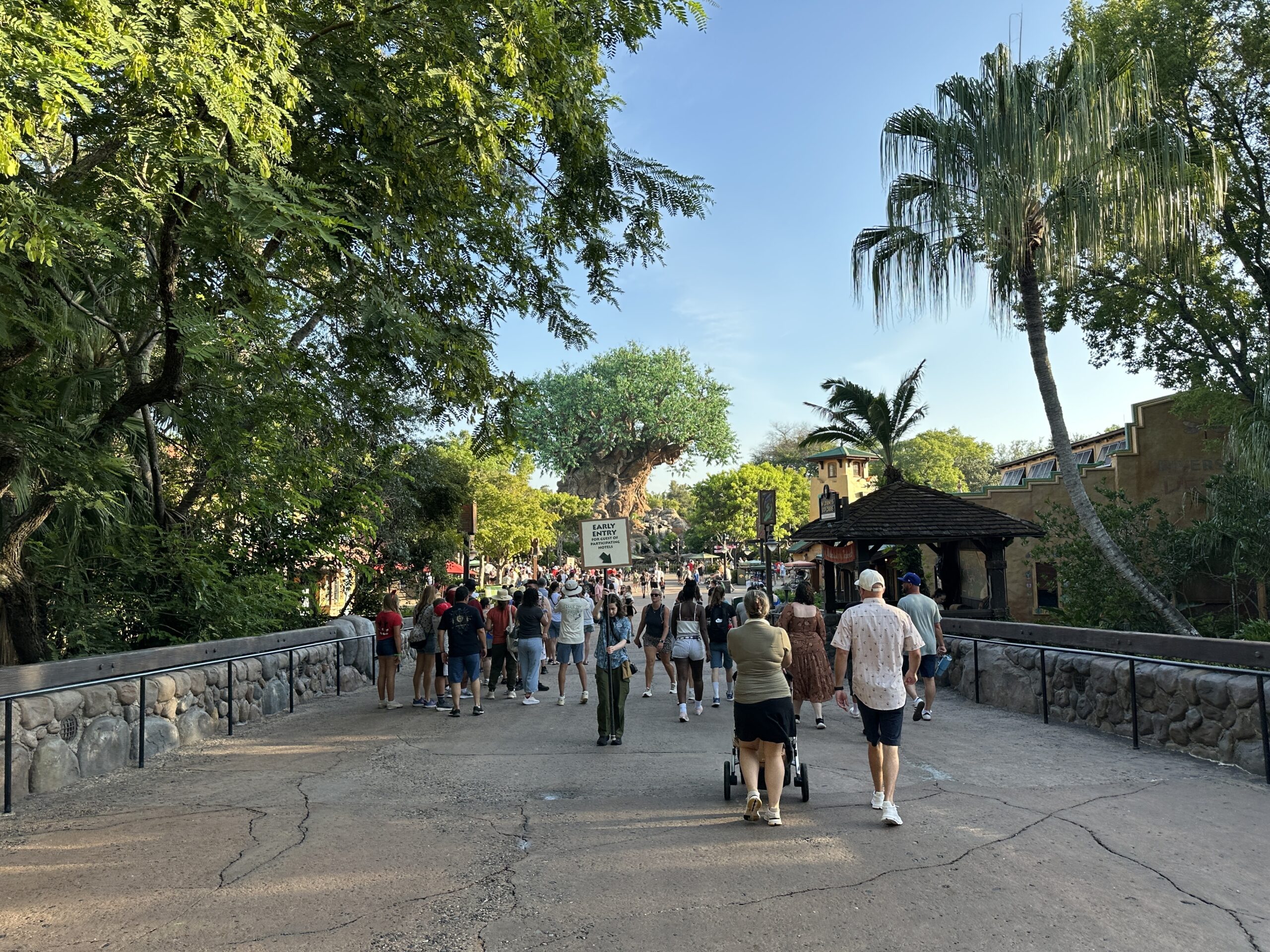 Disney's Animal Kingdom began testing new rope drop procedures last week, and Cast Members confirmed with us today, July 23, that they are now permanent.