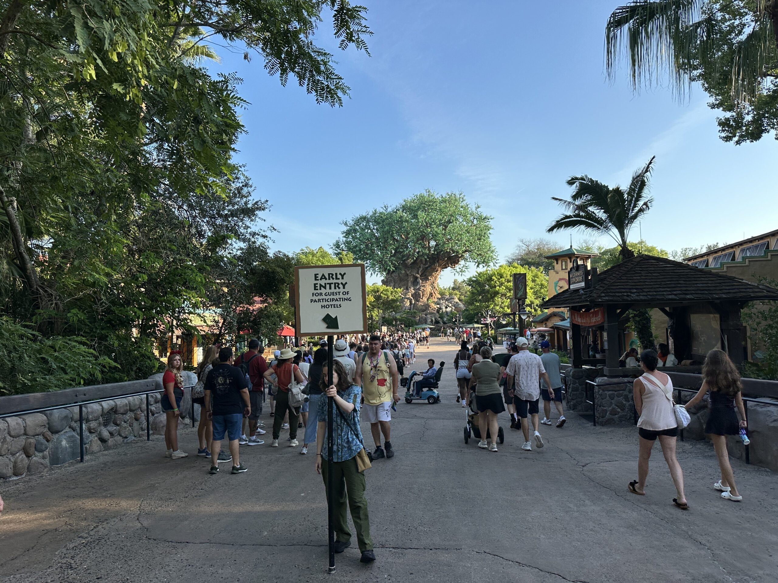 Disney's Animal Kingdom began testing new rope drop procedures last week, and Cast Members confirmed with us today, July 23, that they are now permanent.