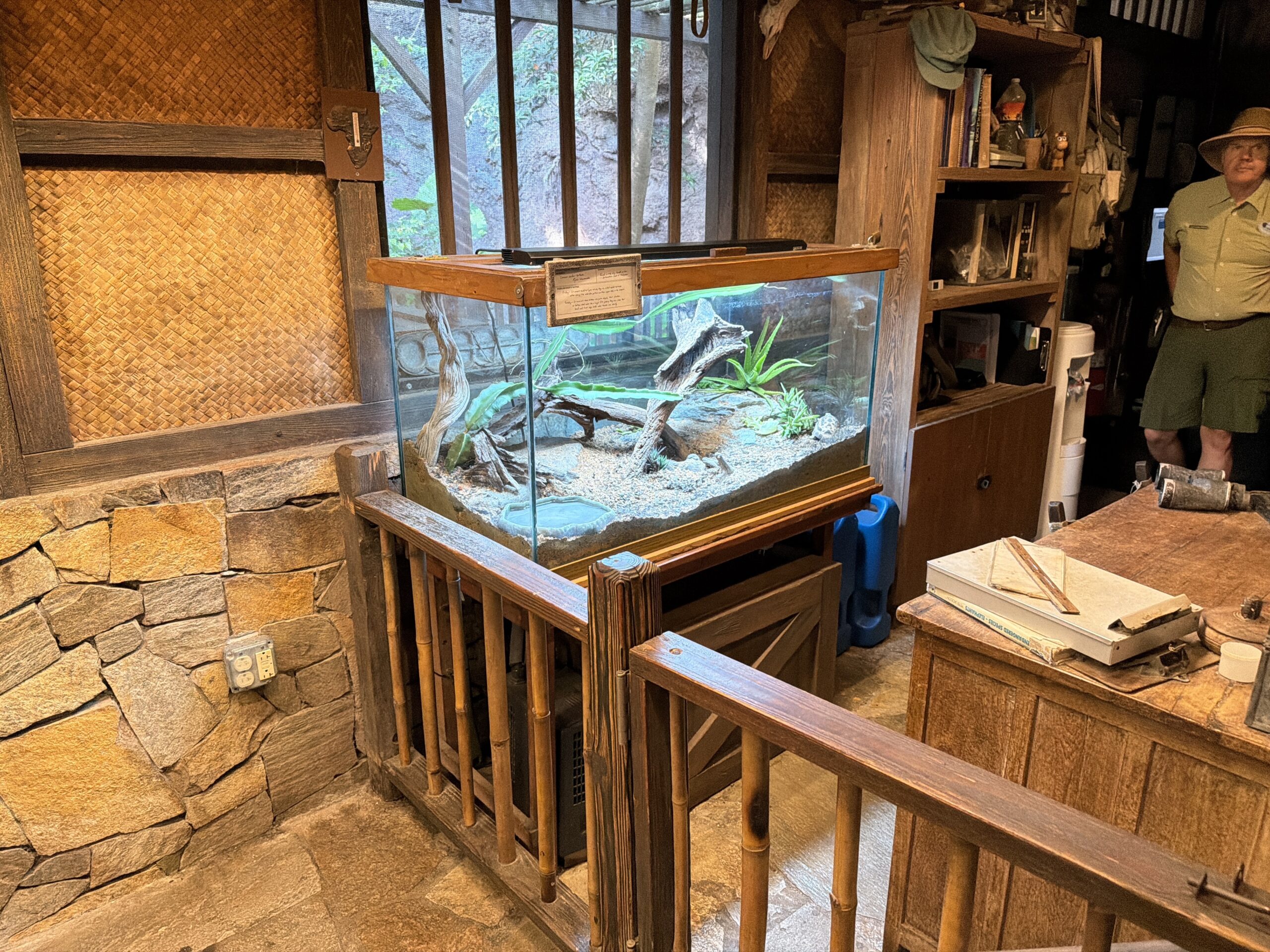 Animals of an interior exhibit at Gorilla Falls Exploration Trail in Disney's Animal Kingdom have been shuffled around and a new African bullfrog was introduced.