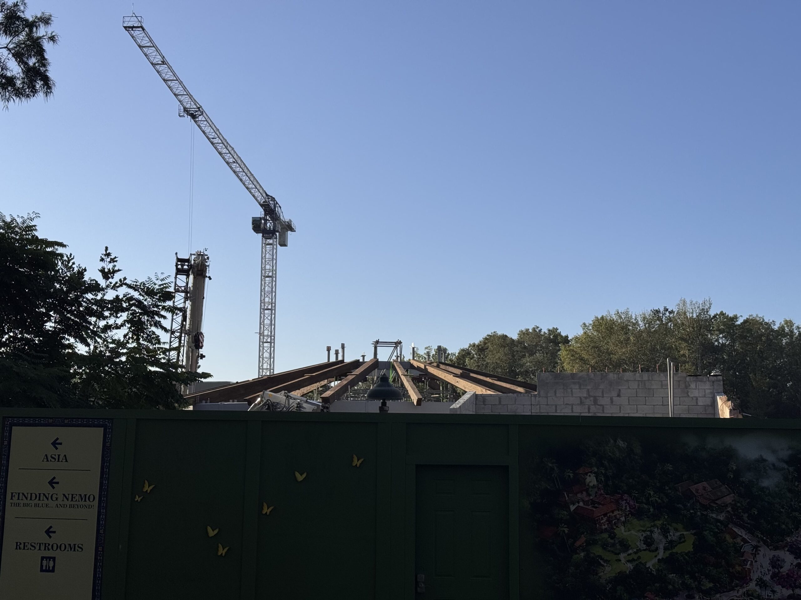 Top Installed on Tropical Americas Carousel at Disney's Animal Kingdom