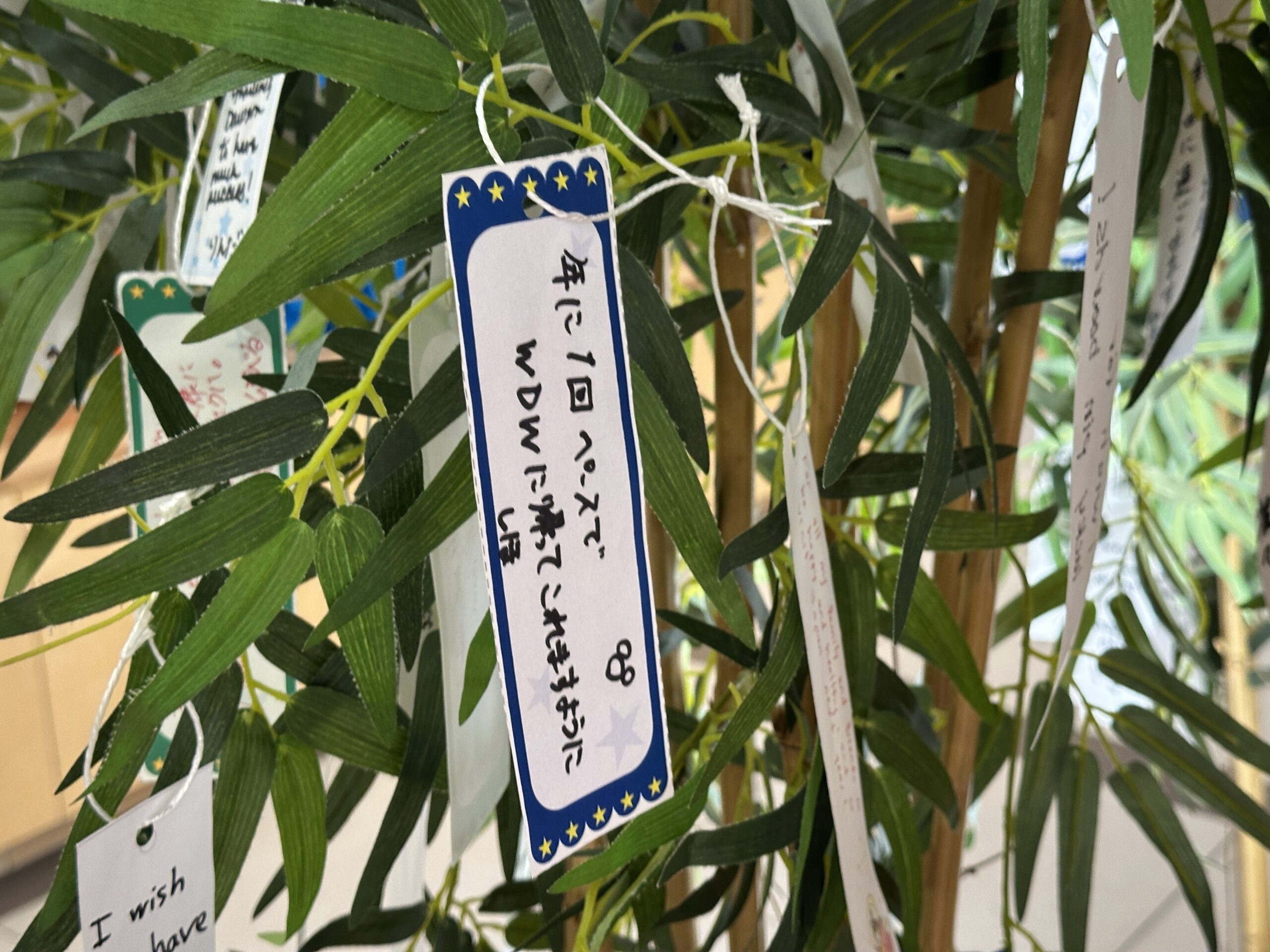 The wishes are written on small slips of paper called tanzaku and hung on the bamboo trees.