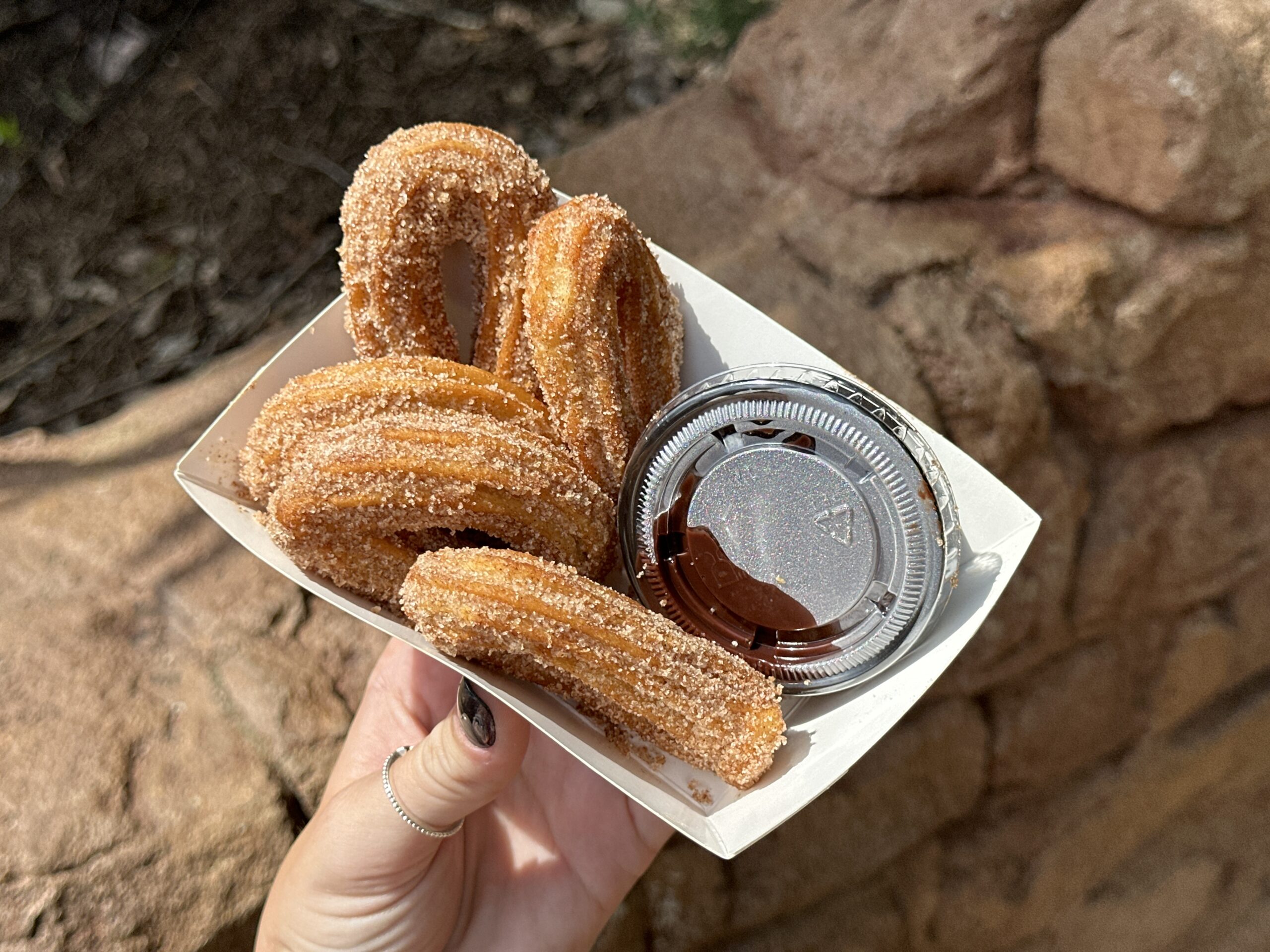 Churro Loops - $7.49
Tossed in Cinnamon Sugar with House-made Chocolate Ganache