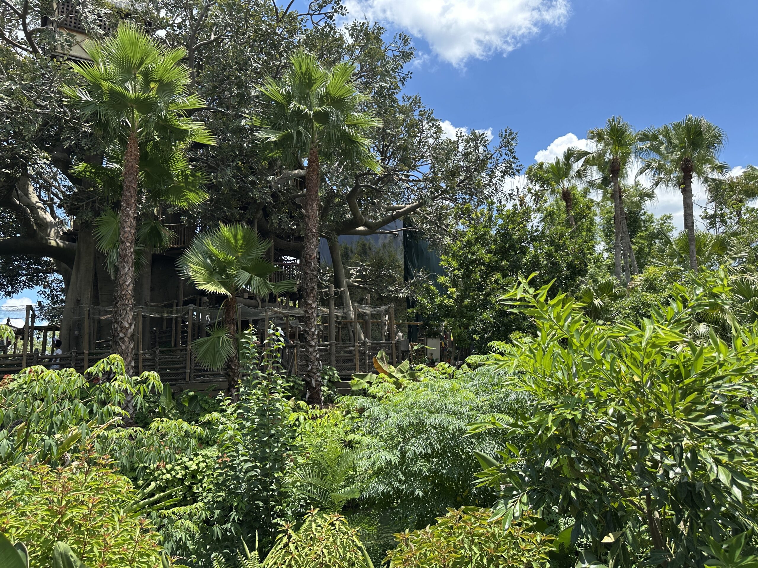 Construction Scrims Appear at Swiss Family Treehouse in Magic Kingdom