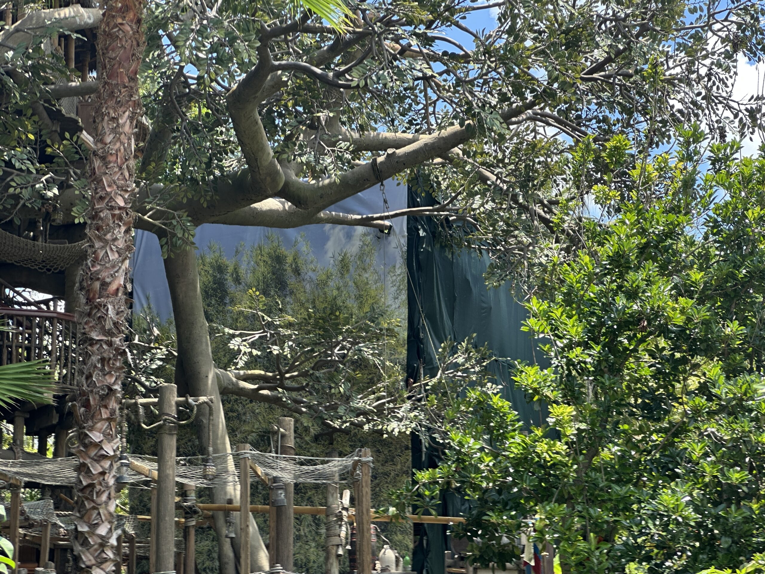 Construction Scrims Appear at Swiss Family Treehouse in Magic Kingdom