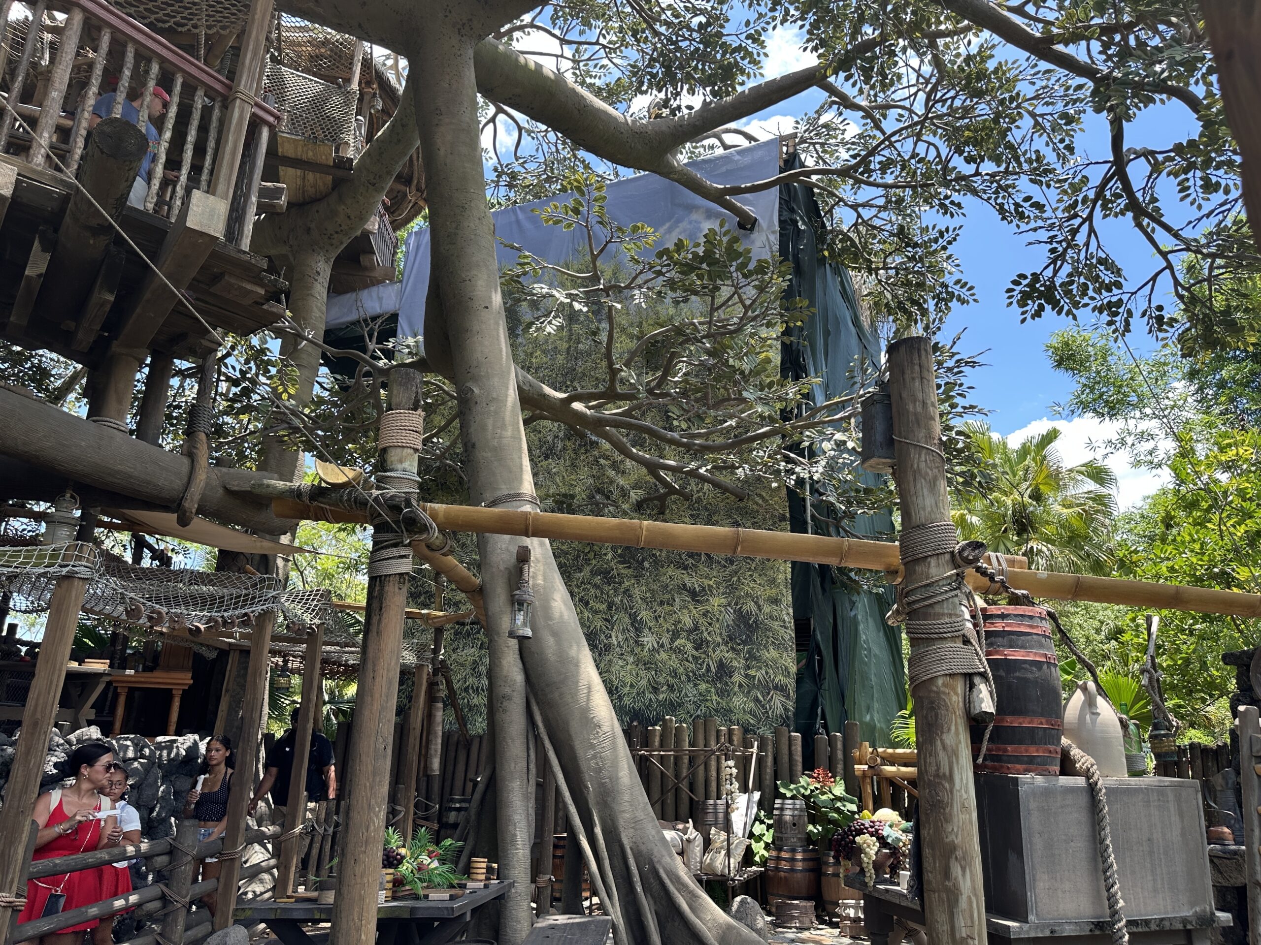 Construction Scrims Appear at Swiss Family Treehouse in Magic Kingdom