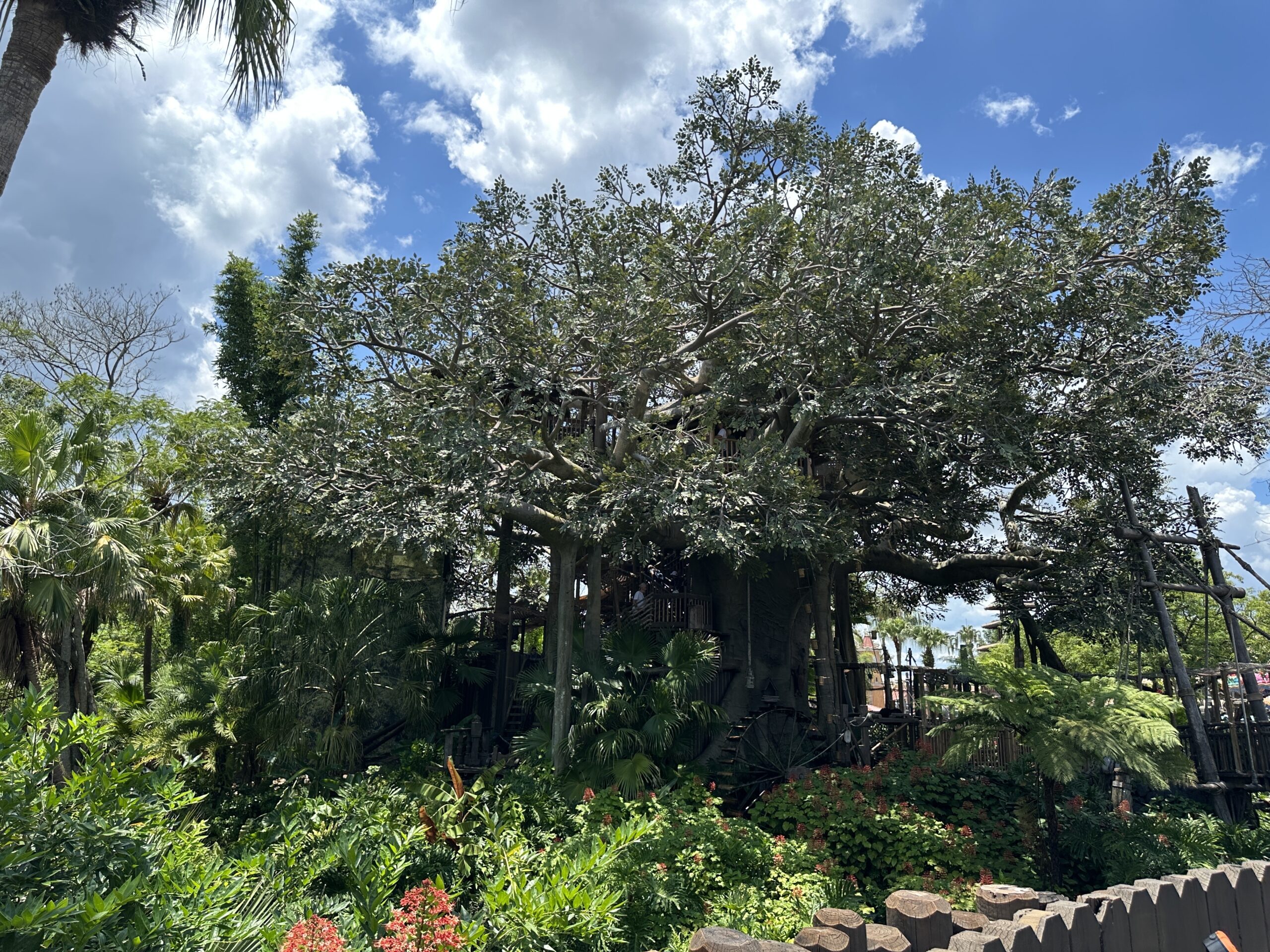 Construction Scrims Appear at Swiss Family Treehouse in Magic Kingdom