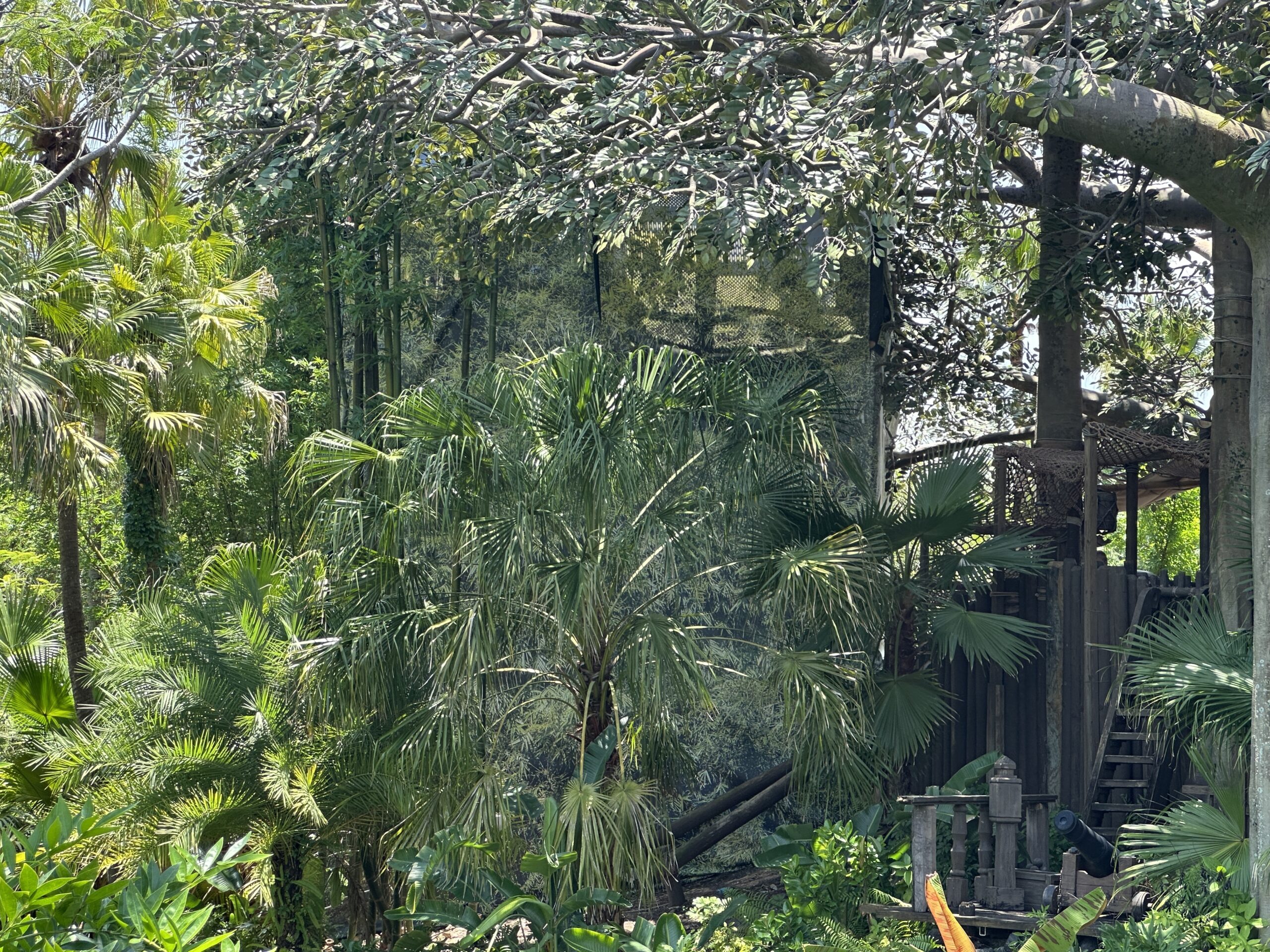 Construction Scrims Appear at Swiss Family Treehouse in Magic Kingdom