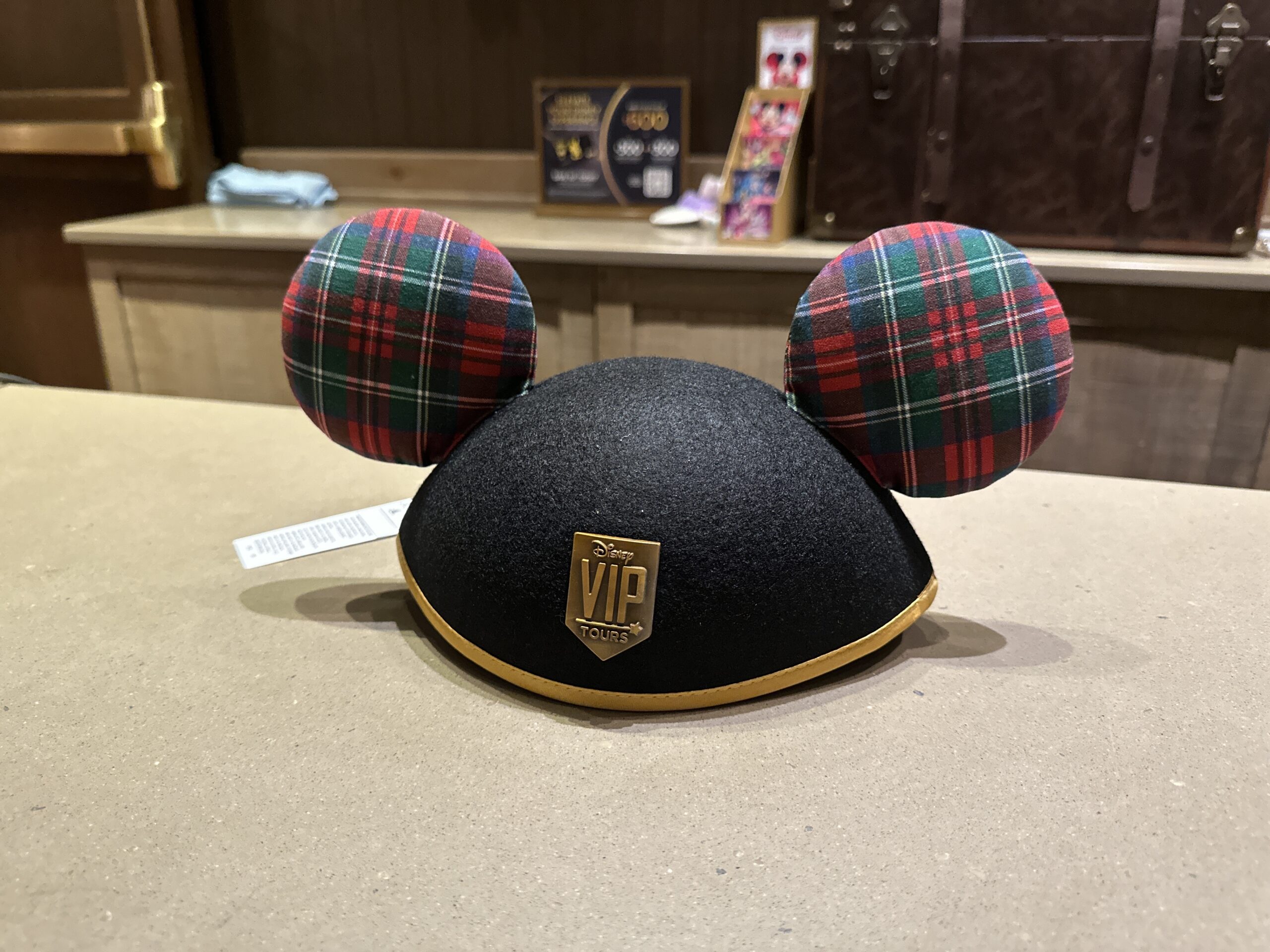VIP Tour Exclusive Ear Hat