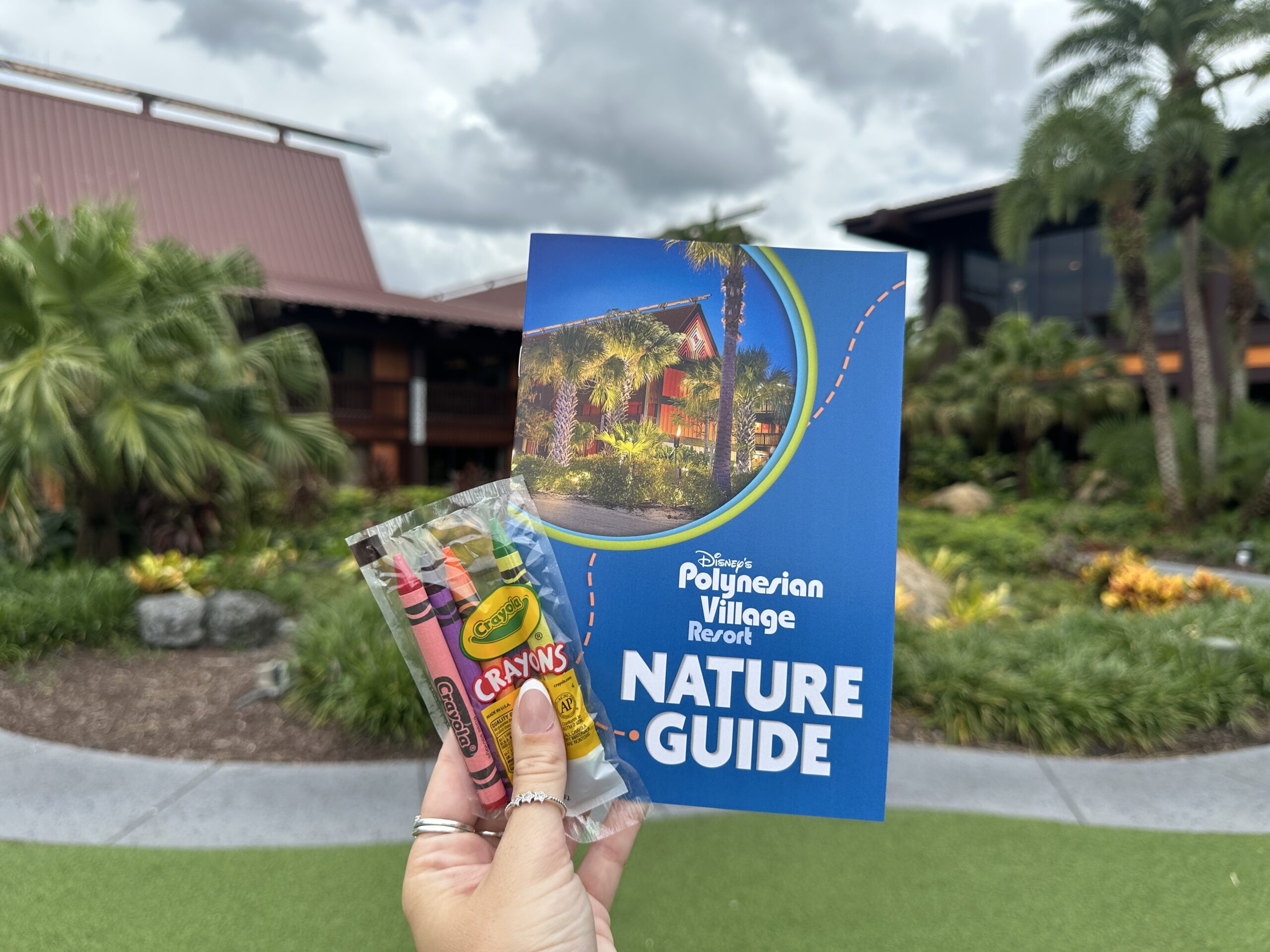 Disney's Polynesian Village Resort Debuts New Guide Mentioning Recently Cut Down Kukui Tree
