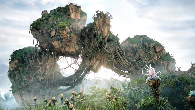 Guests Brawl in Queue at Disney's Animal Kingdom