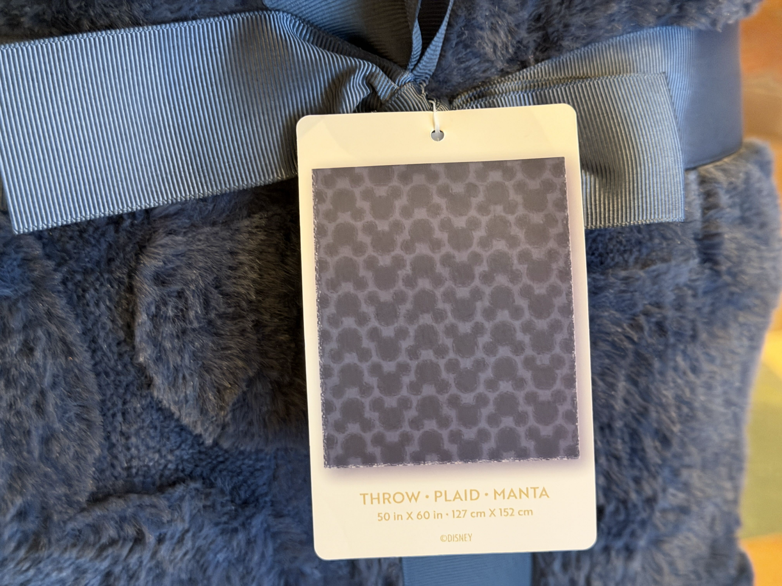 Disney is giving fans another way to bring a little magic home with a new collection of cozy blankets, now available in several colorful designs.