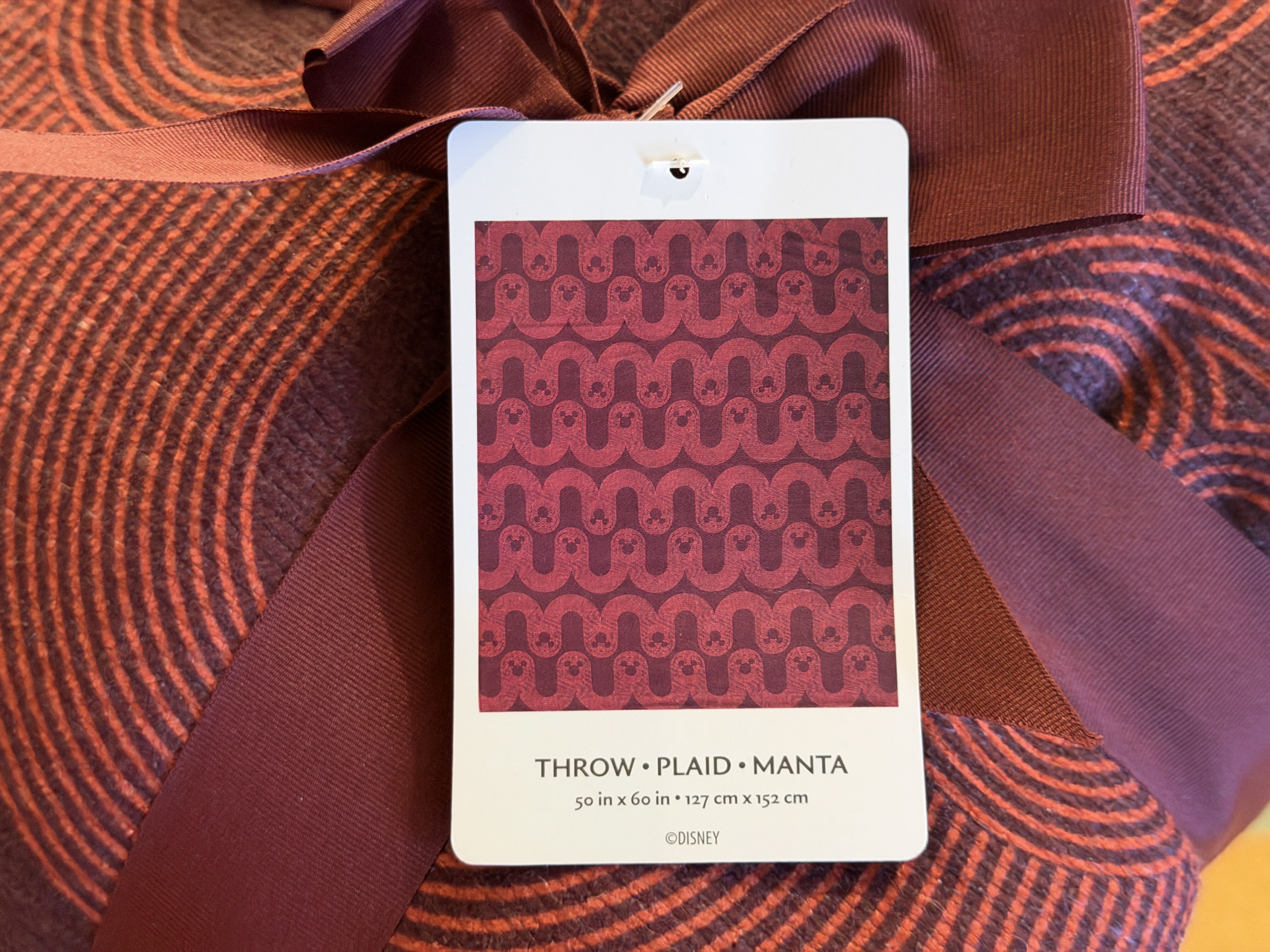 Disney is giving fans another way to bring a little magic home with a new collection of cozy blankets, now available in several colorful designs.