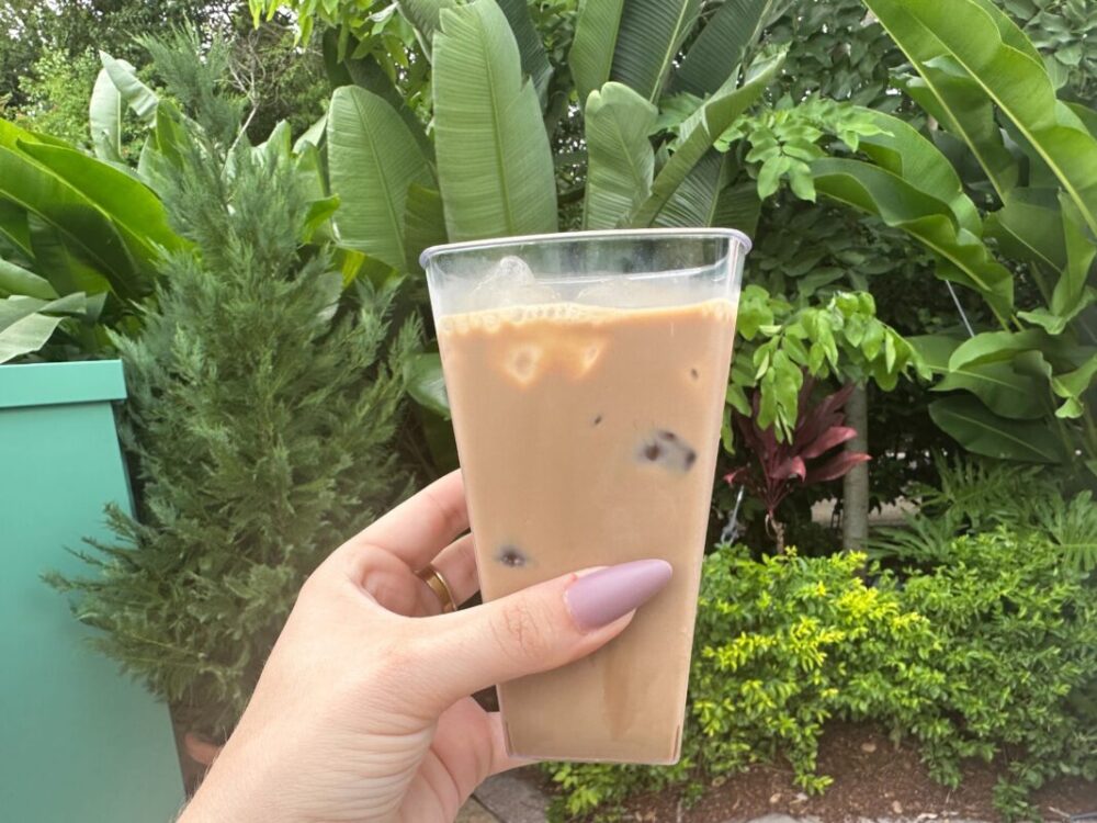 REVIEW: ALL Food and Beverage Items Available at 2026 EPCOT International Food & Wine Festival
