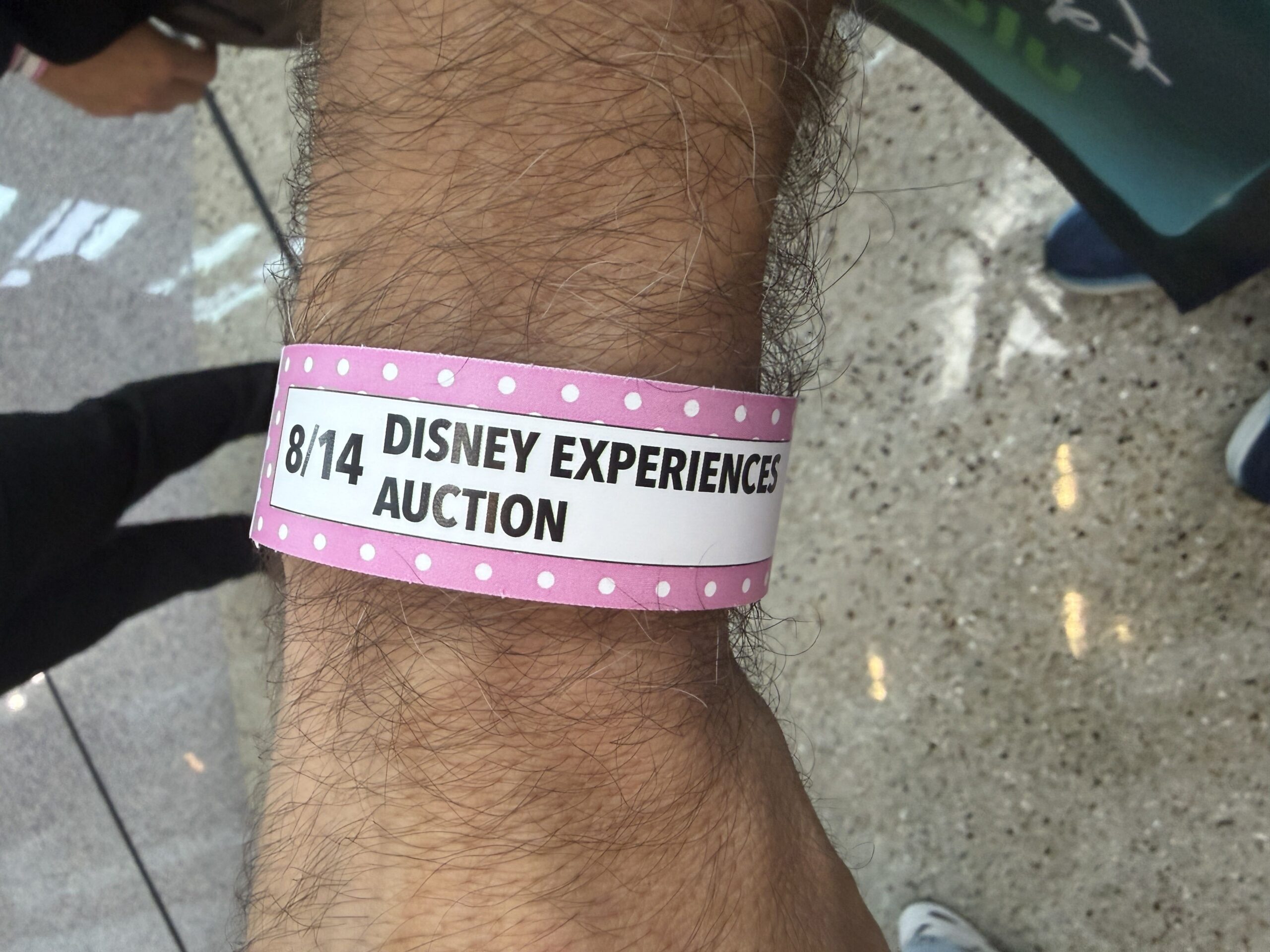 We're at D23: The Ultimate Disney Fan Event, where fans can participate in an auction of authentic Disney Parks props.