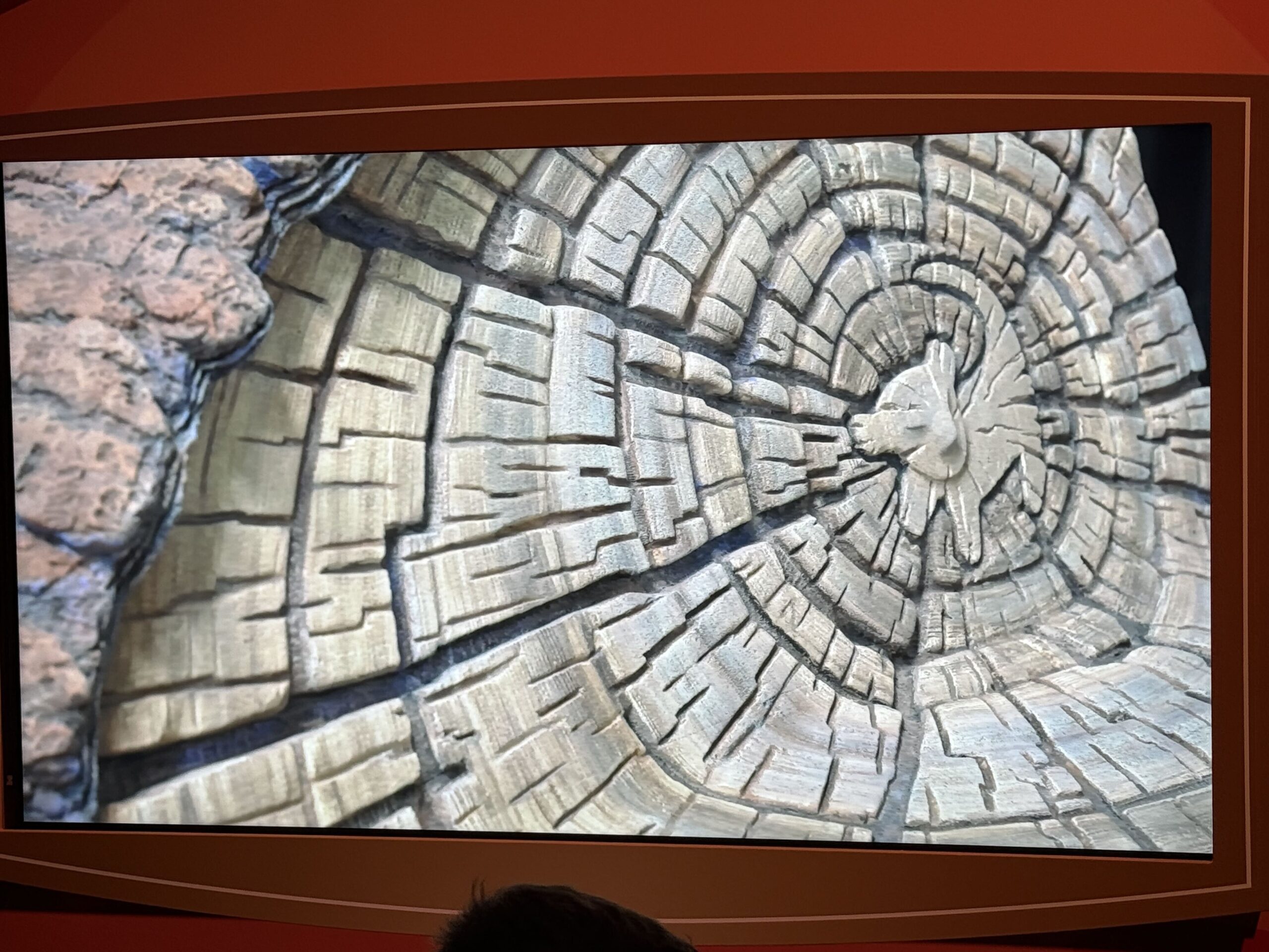 More Details of Ride Vehicle & Bugs Inside The Lion King Land at Disneyland Paris