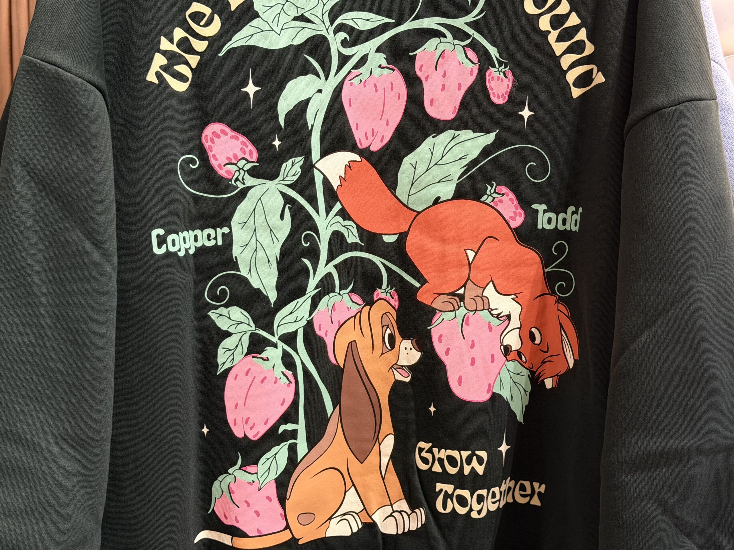 "Fox and the Hound" Sweatshirt - $55