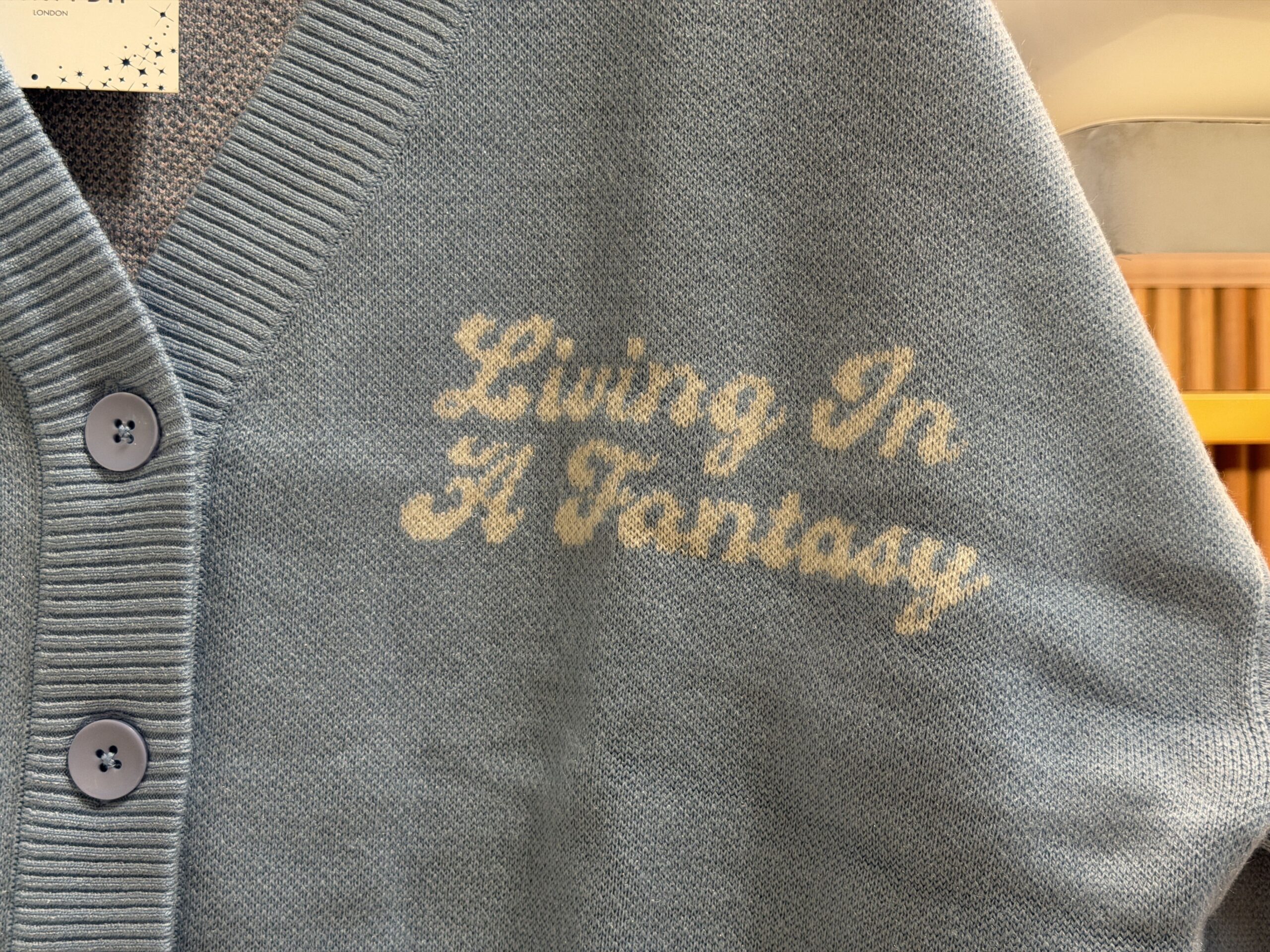 This cropped cardigan is light blue with matching blue buttons. "Living In A Fantasy" is shown in white cursive on one side of the chest.