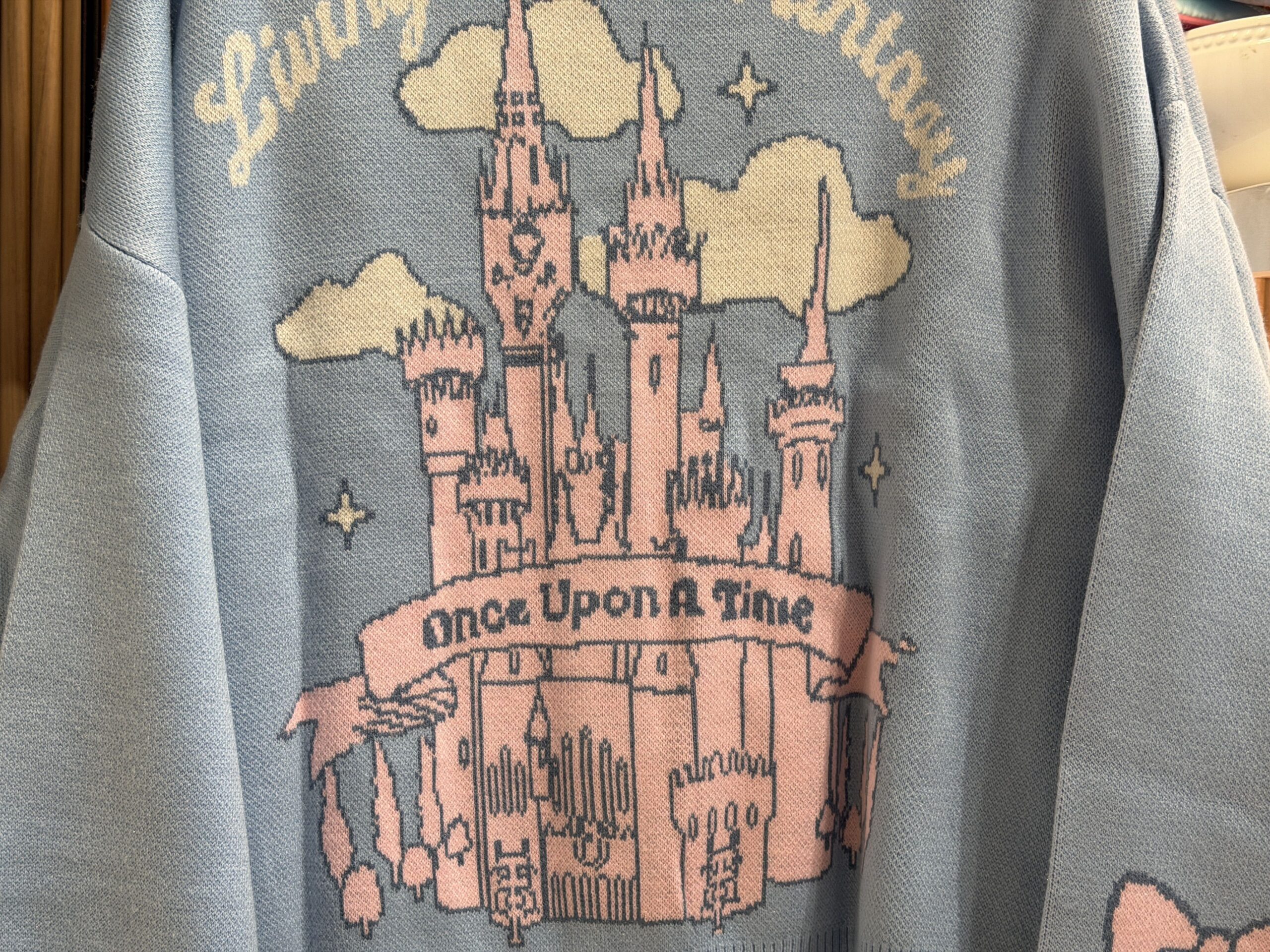 The back of the cardigan has a large pink Disney castle surrounded by white clouds and stars. "Living In A Fantasy" stretches in an arc above, while the text "Once Upon a Time" is shown on a pink scroll overlaying the castle.