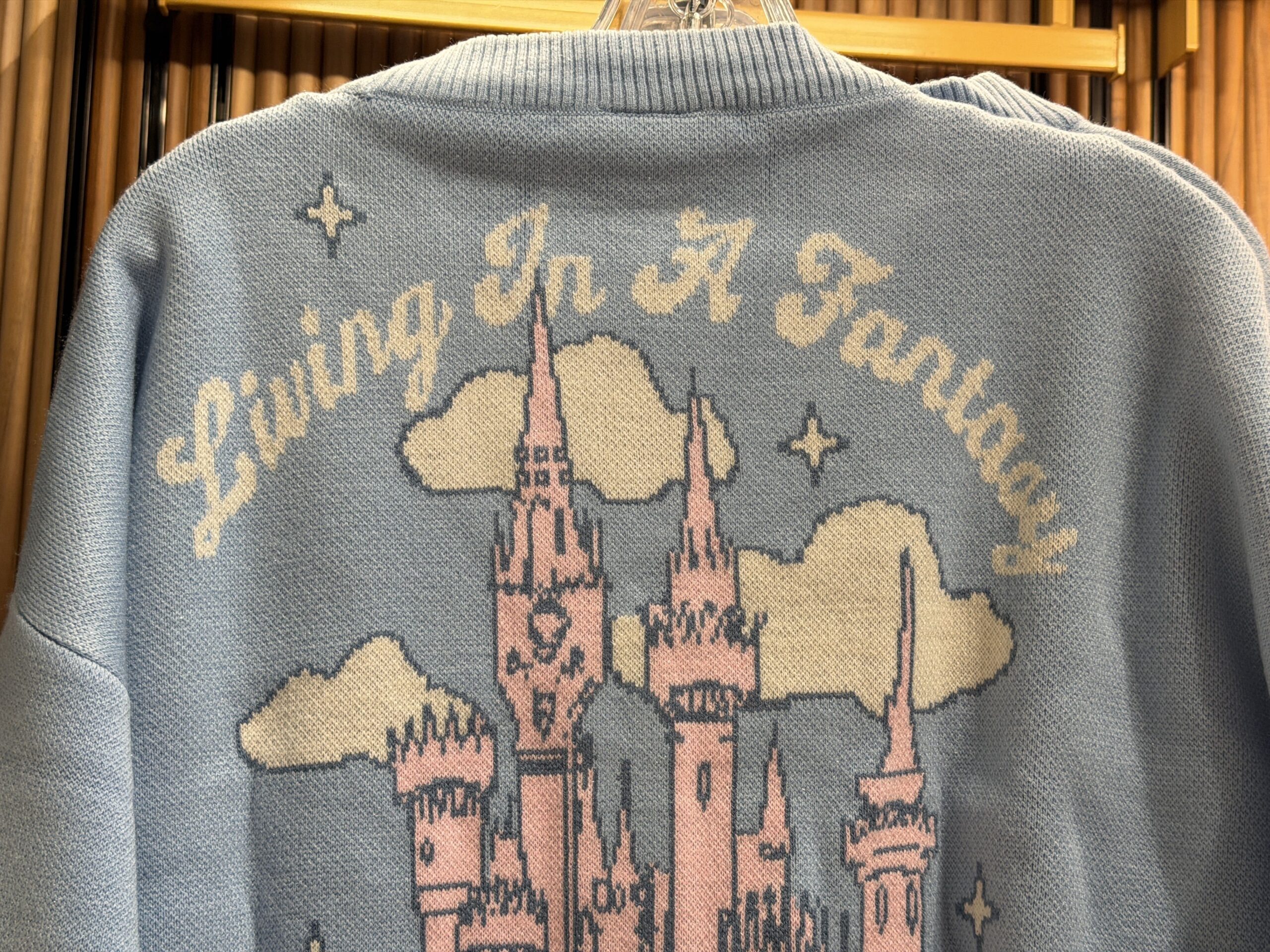 "Living in a Fantasy" Cardigan - $70