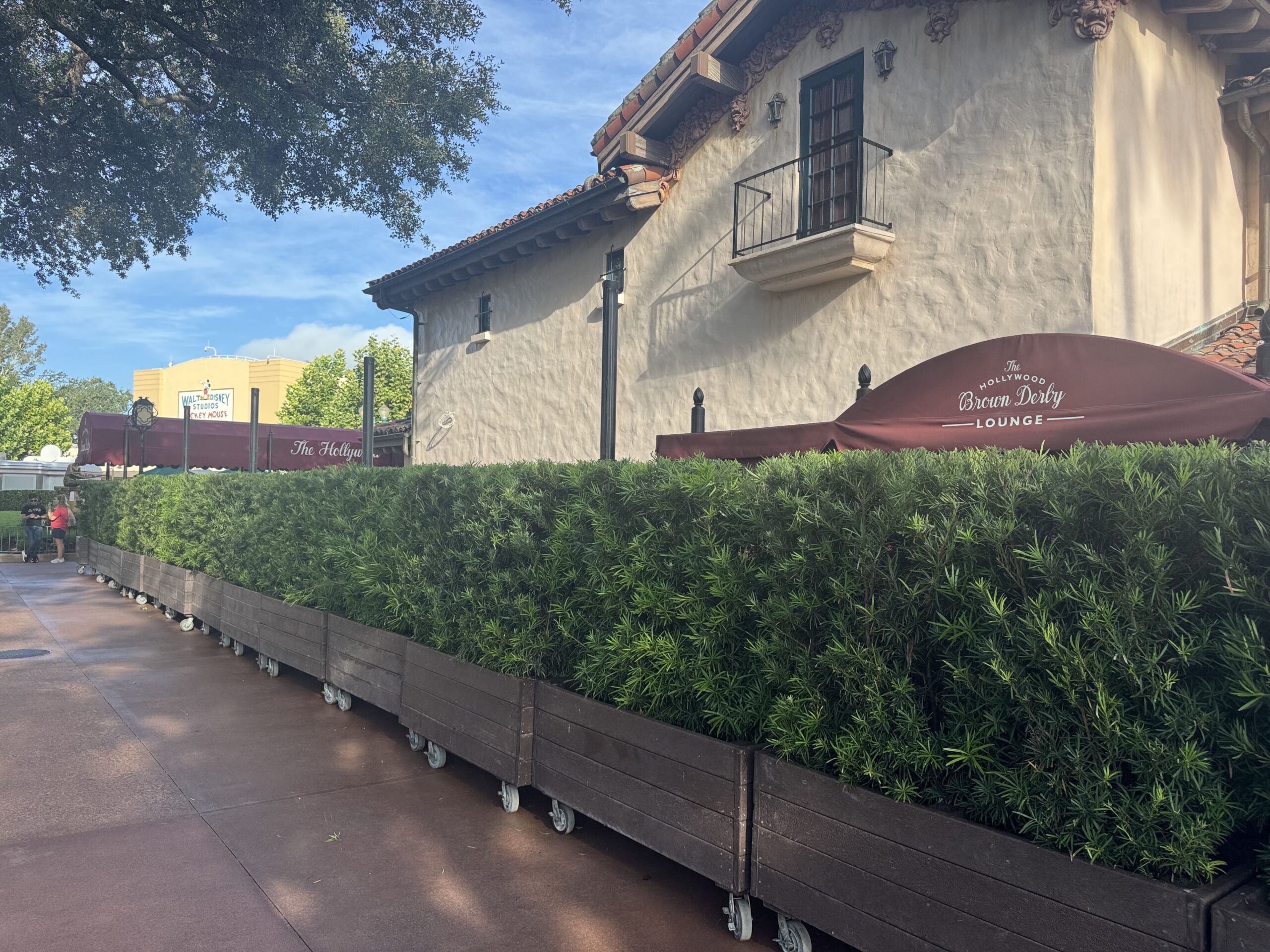 The new pavement for The Hollywood Brown Derby Lounge at Disney's Hollywood Studios is complete but work continues on the outdoor patio.