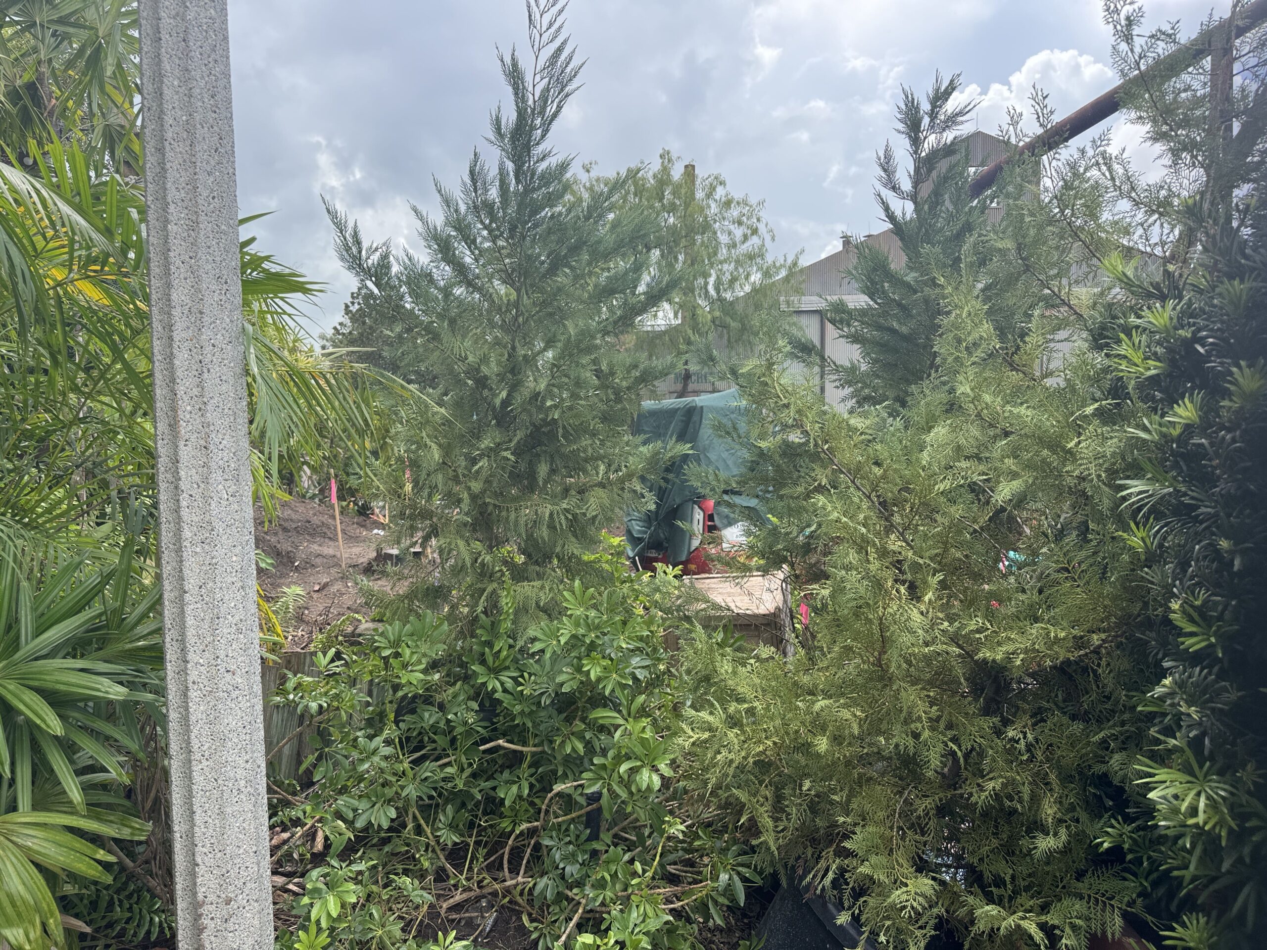 Construction Vehicle Added to Indiana Jones