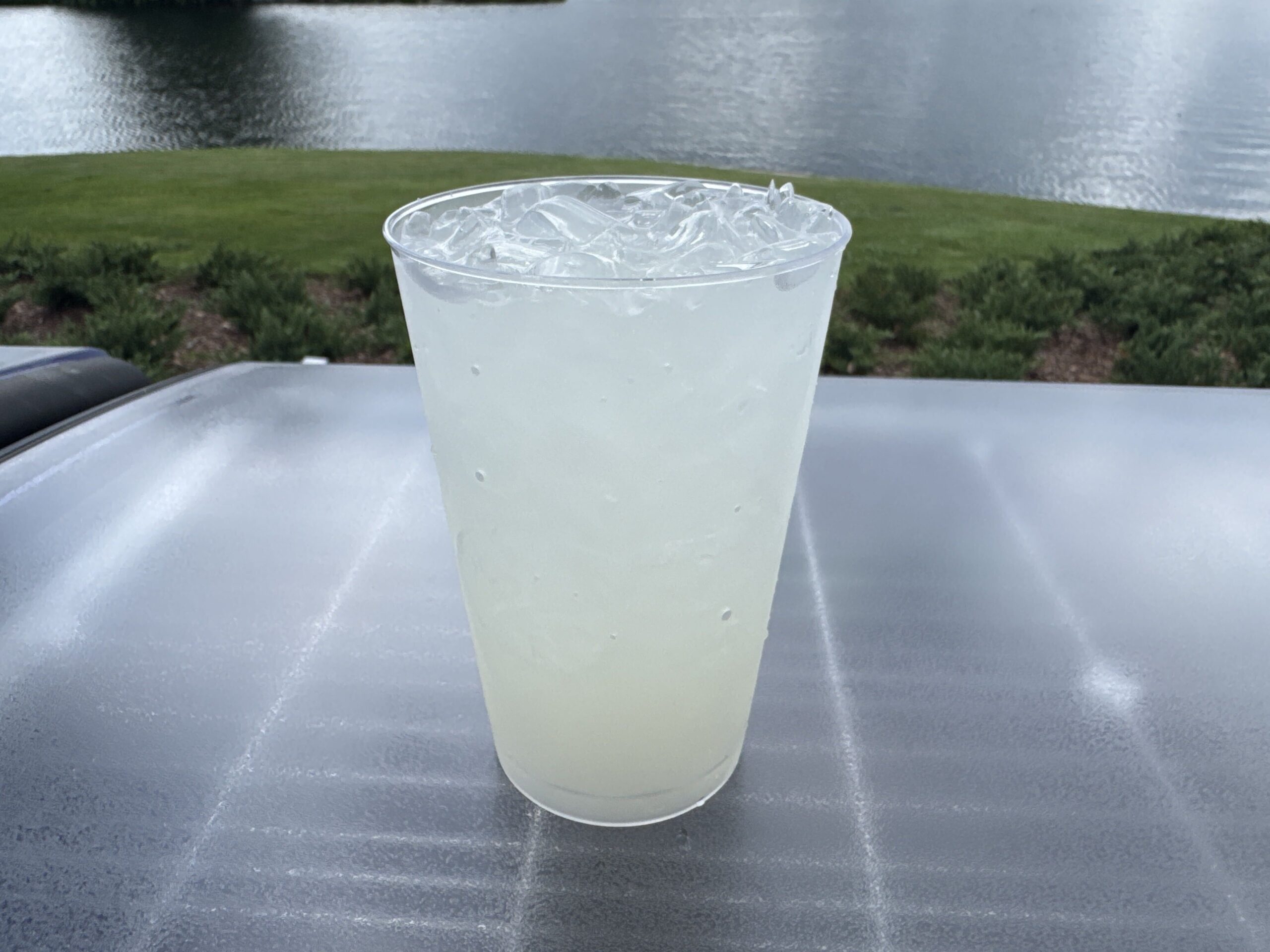 REVIEW: ALL Food and Beverage Items Available at 2026 EPCOT International Food & Wine Festival
