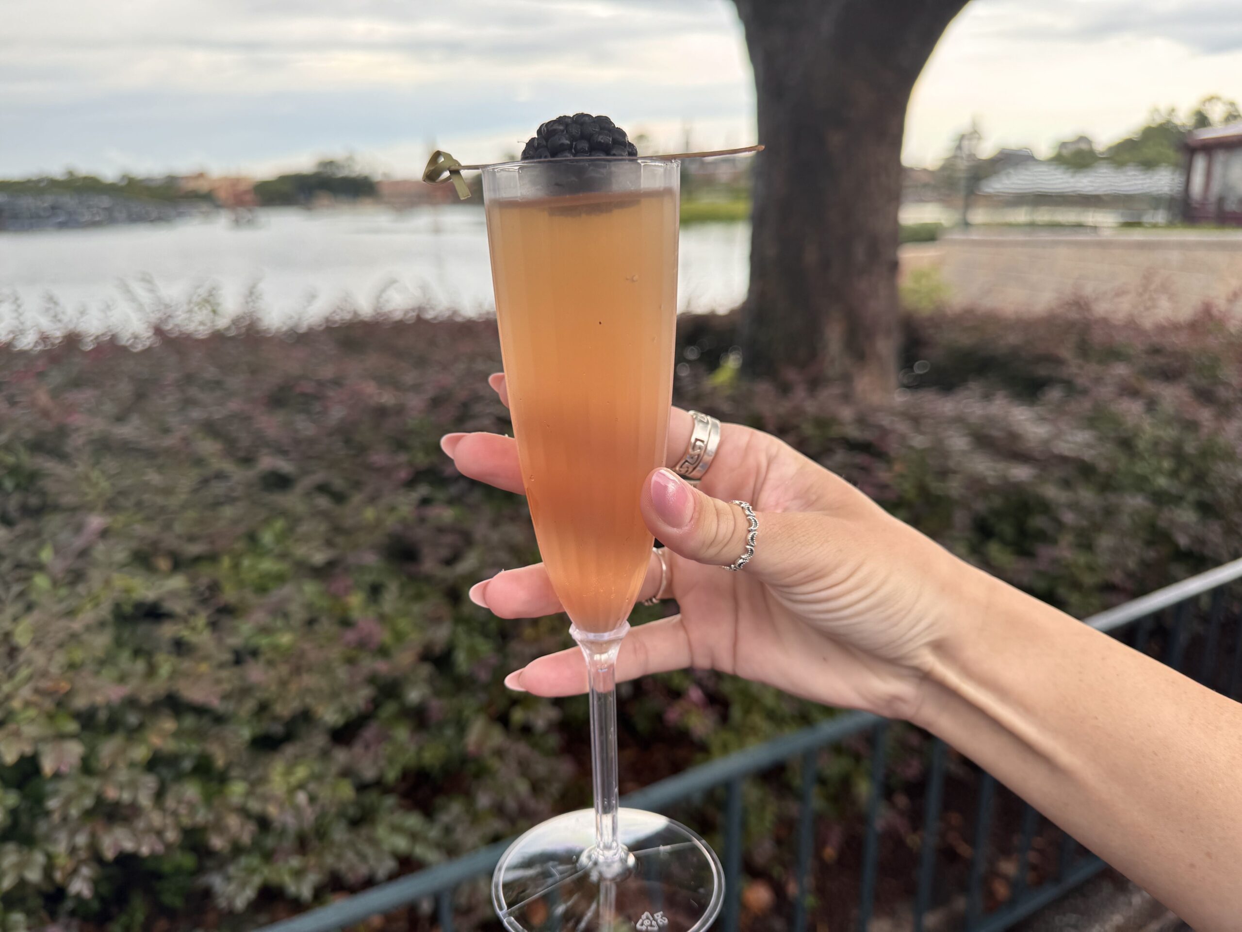 REVIEW: ALL Food and Beverage Items Available at 2026 EPCOT International Food & Wine Festival