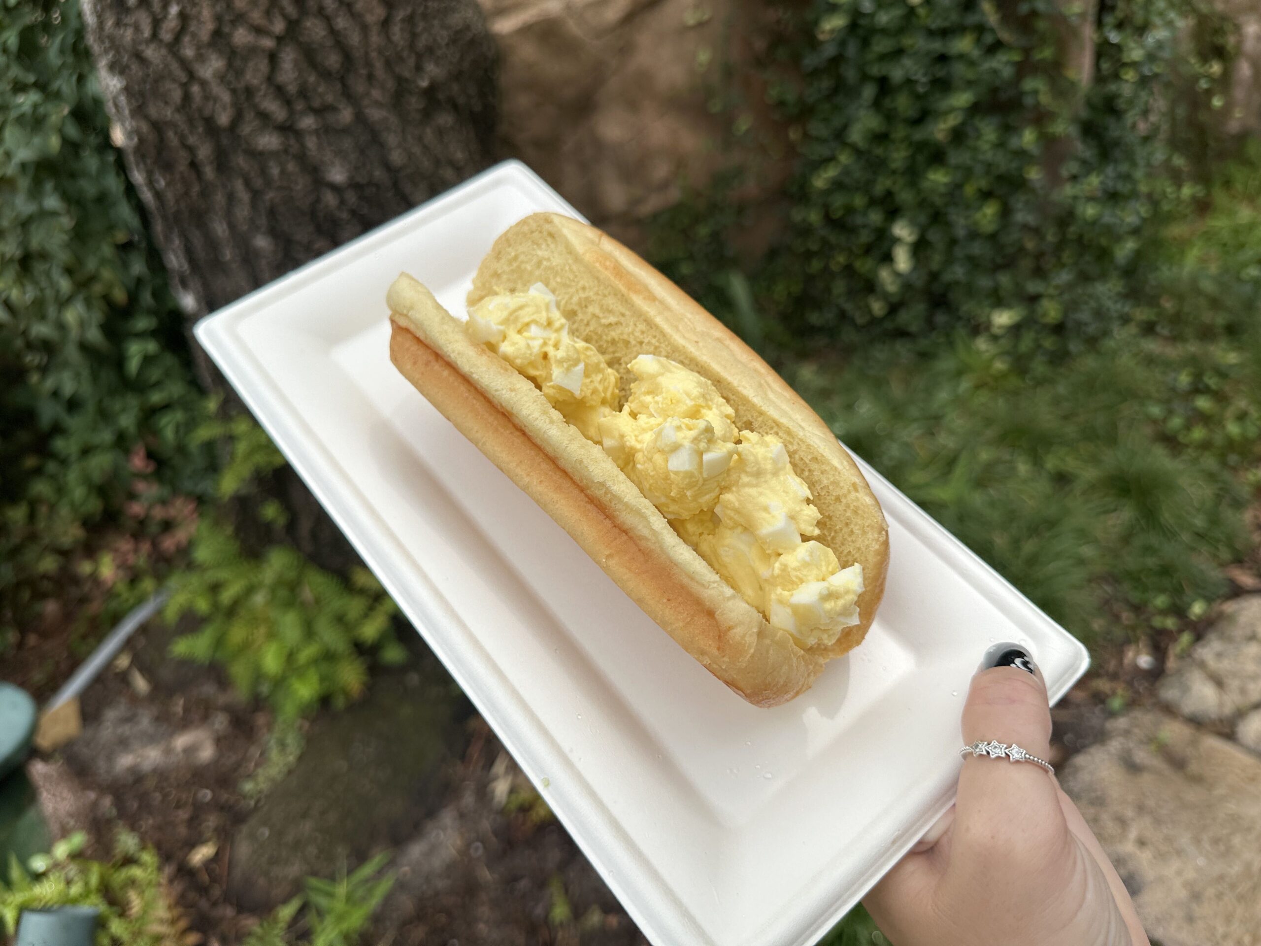 The Japan Pavilion in EPCOT has a new egg sandwich at EPCOT. Not only is it overpriced, but it is very bland and flavorless. It's available at Katsura Grill.