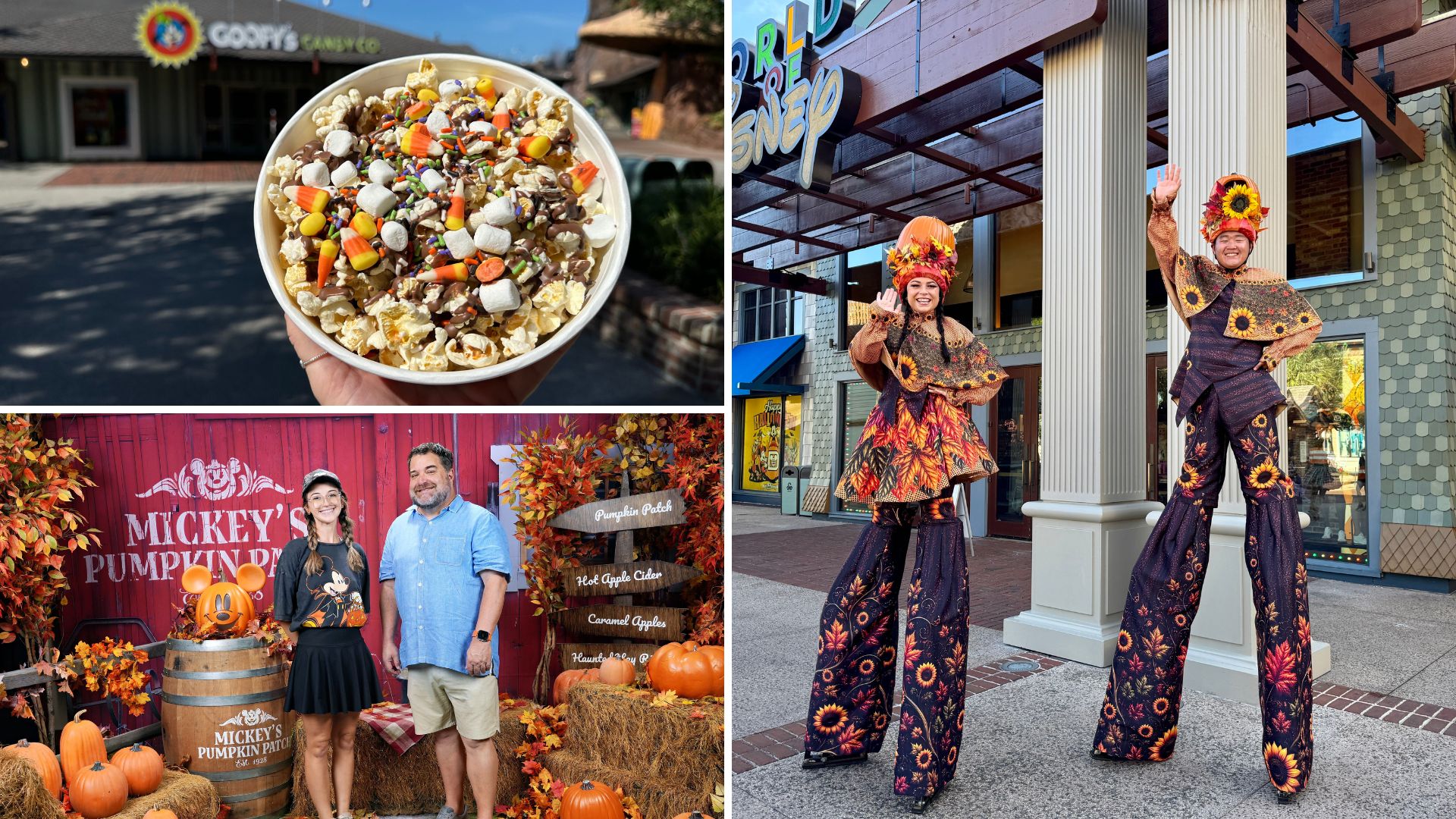 Halloween Treats, Popcorn Mix, Fall Entertainment, and More Seasonal Offerings Arrive at Disney Springs