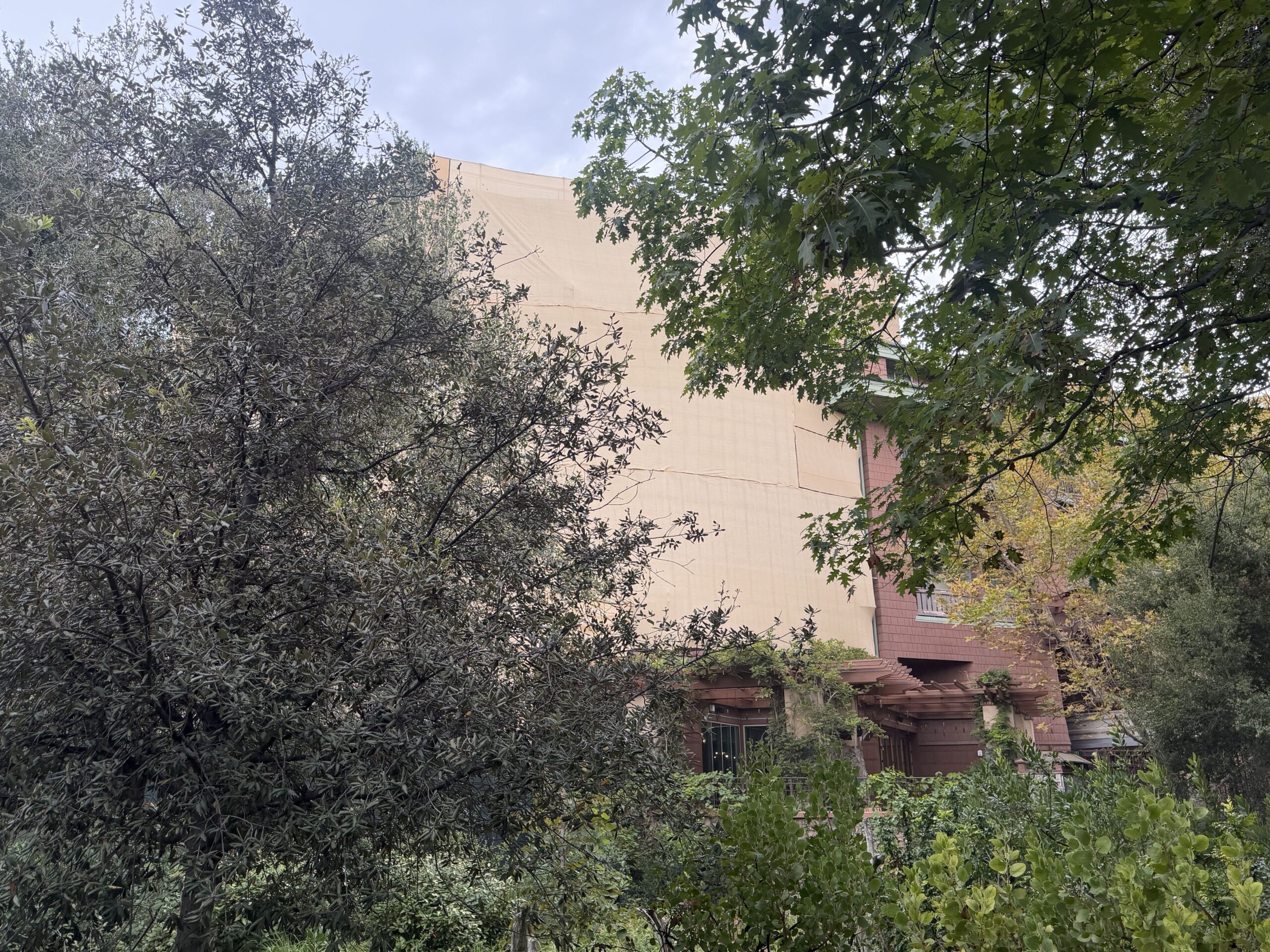 Exterior refurbishment work around Disney’s Grand Californian Hotel & Spa is moving along, now with large scrim coverings concealing the work area near the hotel’s private Disney California Adventure entrance.