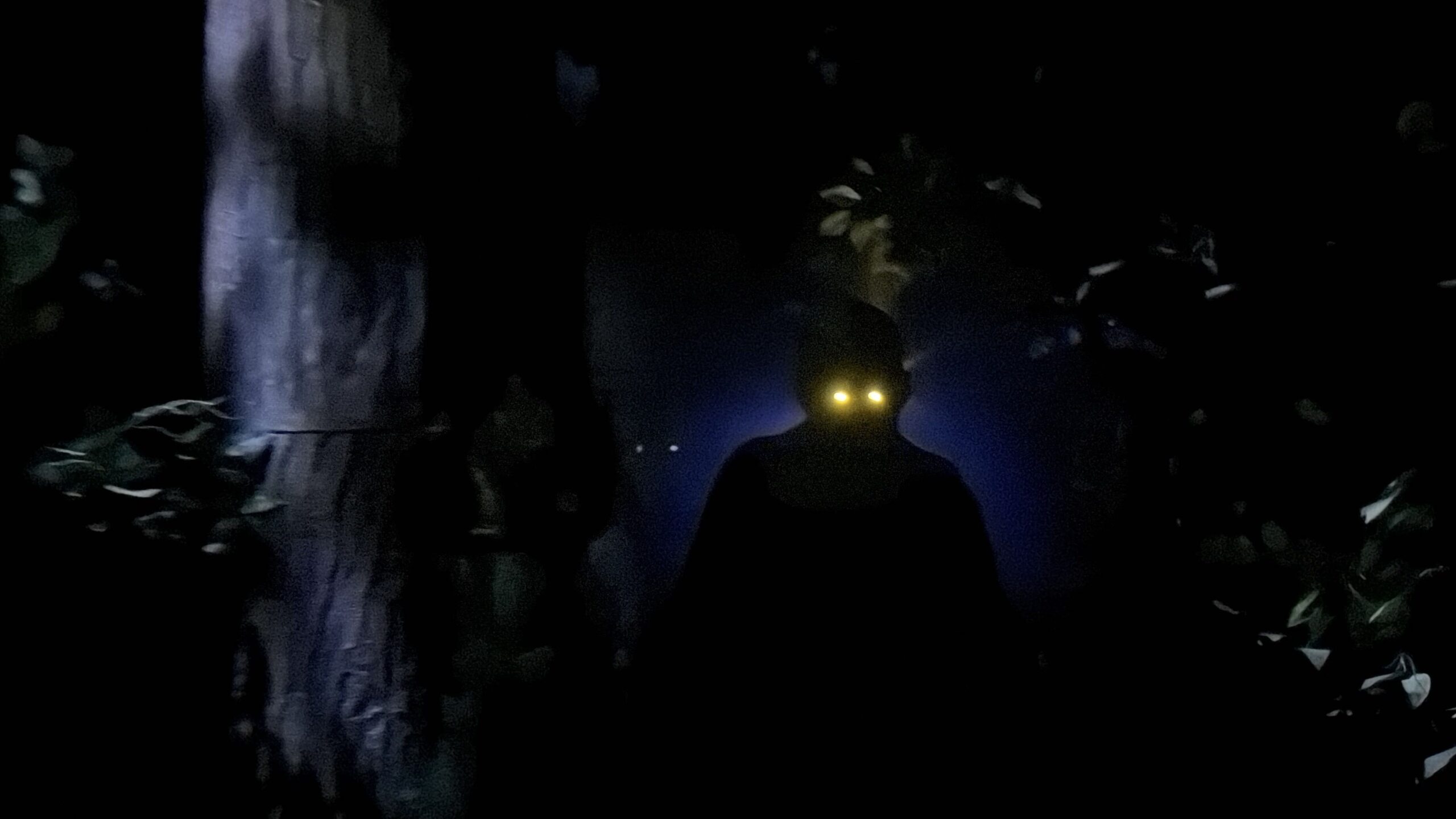 'Sinners' Haunted House at Universal Studios Hollywood Halloween Horror Nights 2026