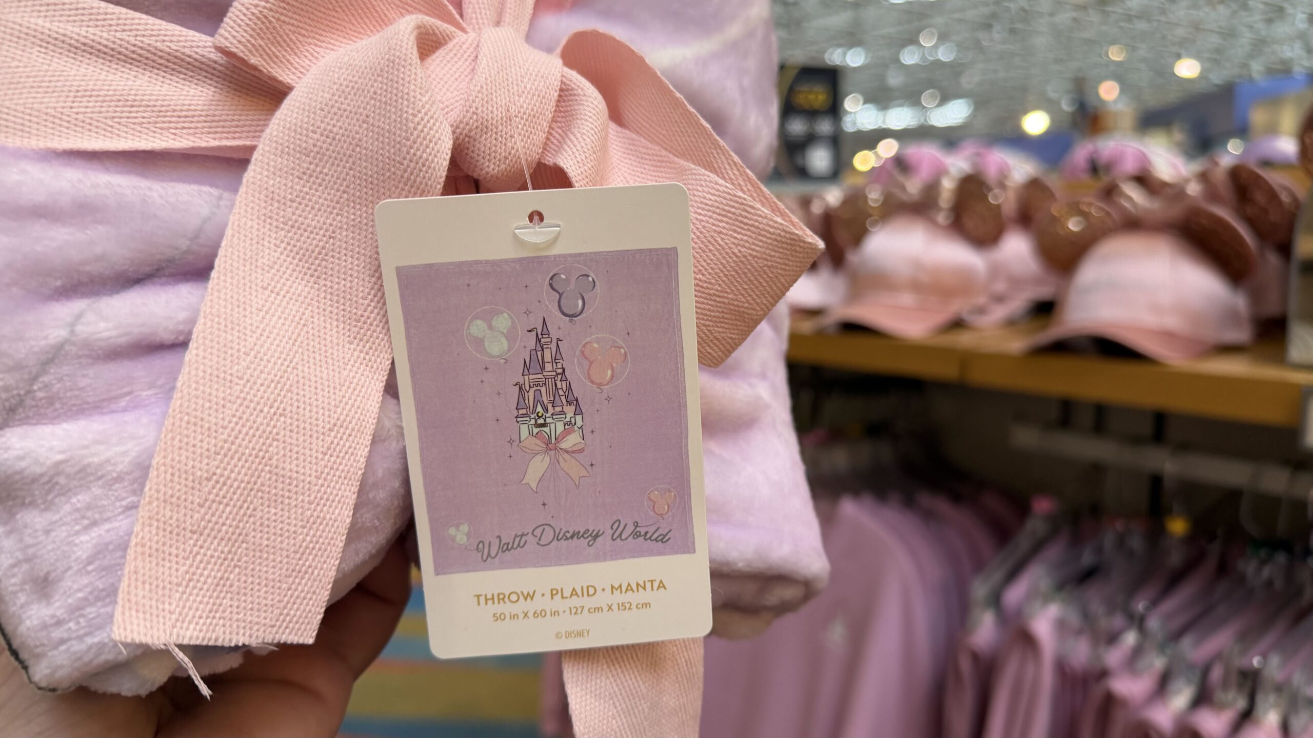 Purple Cinderella Castle throw now spotted at Bayview Gifts at the Contemporary Resort at Walt Disney World